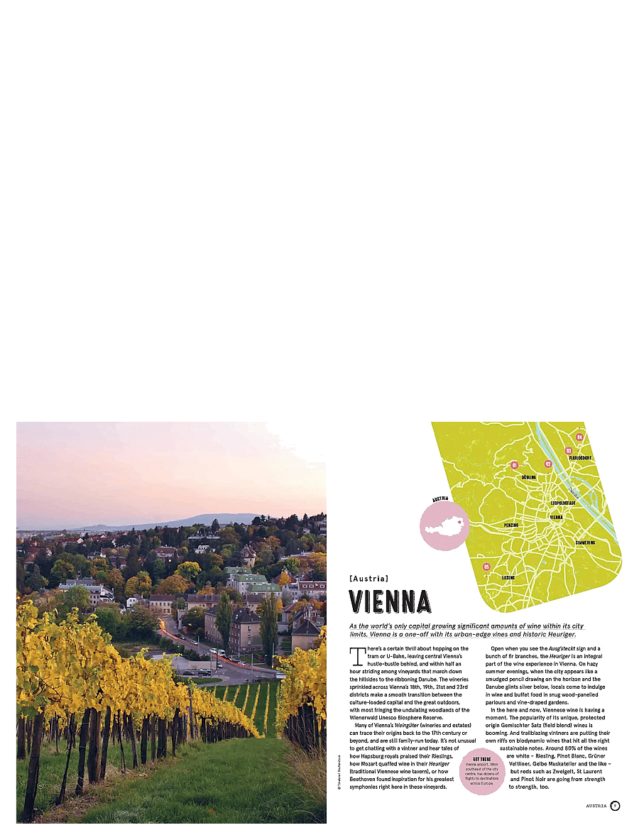 New Mags - Wine Trails - Europe - raamatud - multi coloured - 3