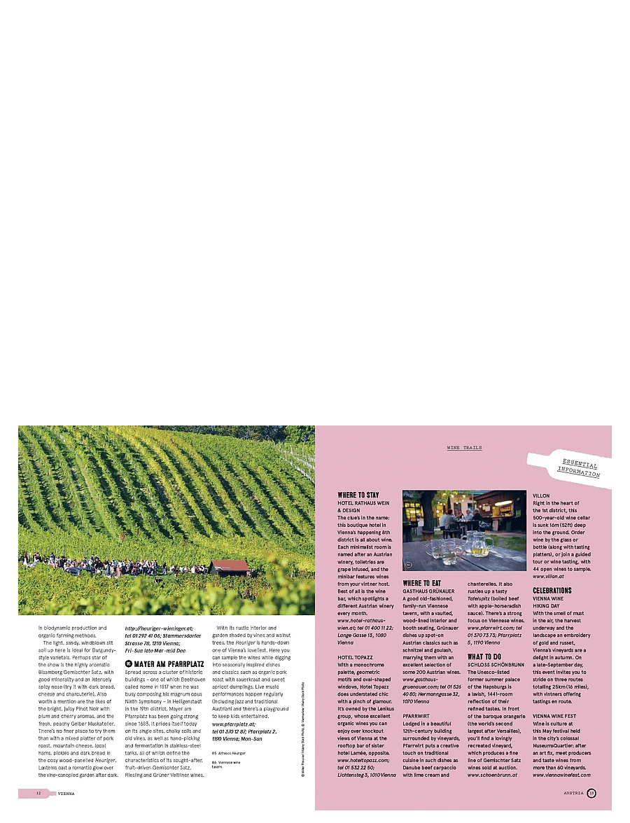 New Mags - Wine Trails - Europe - raamatud - multi coloured - 4
