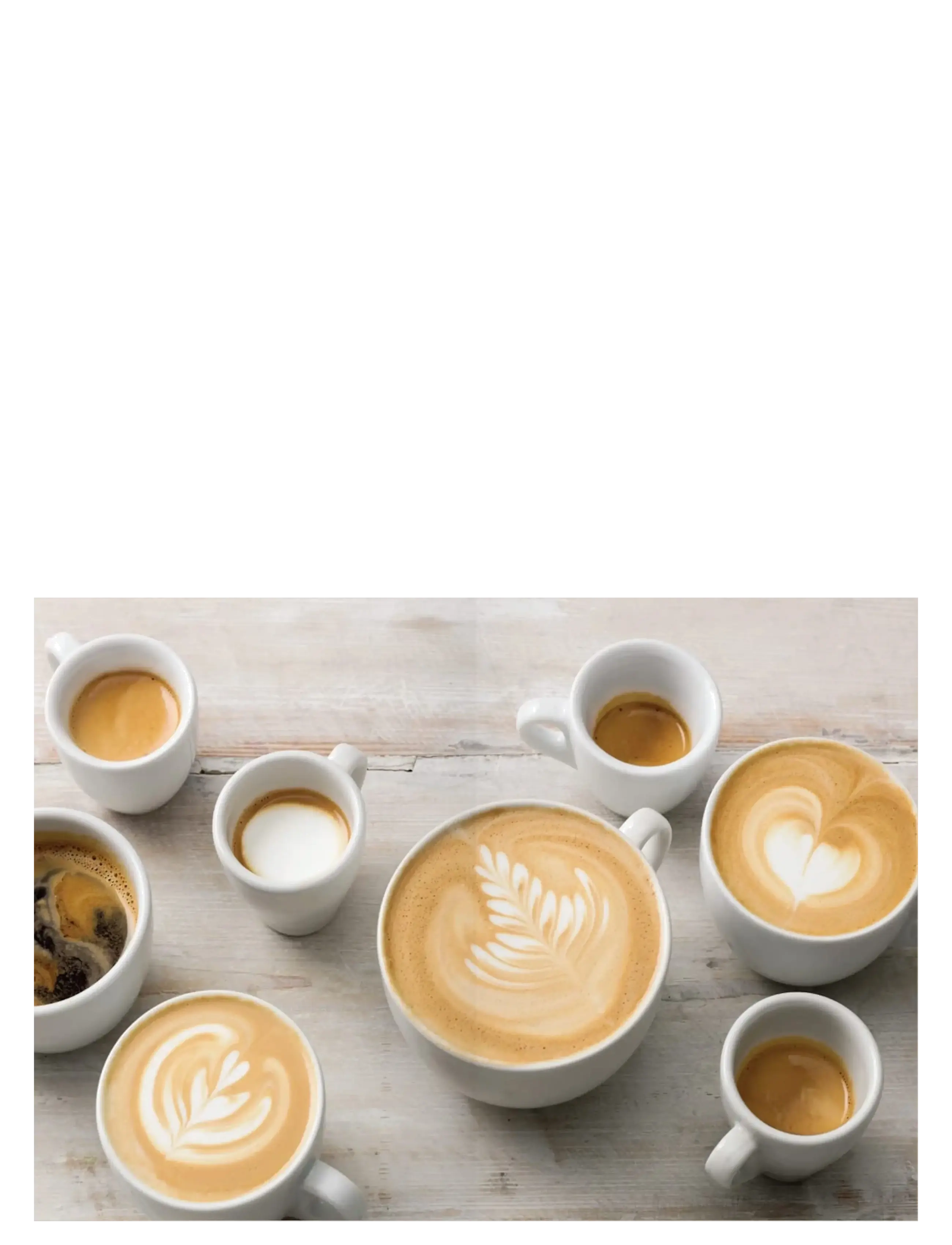 New Mags - How to make the best Coffee - nach preis einkaufen - green - 3