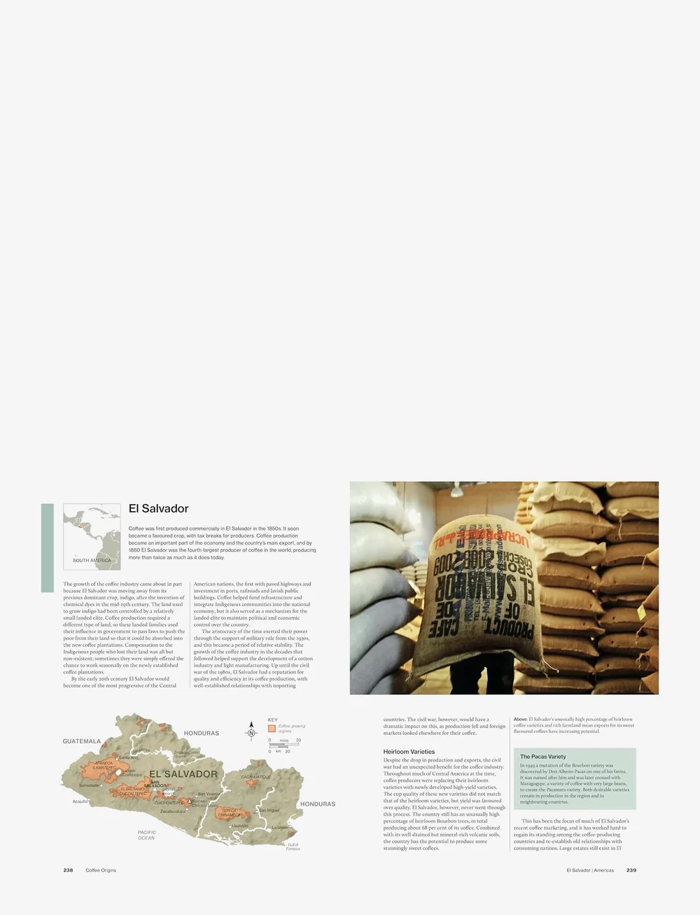 New Mags - The World Atlas of Coffee 3rd edition - köp efter pris - brown - 1