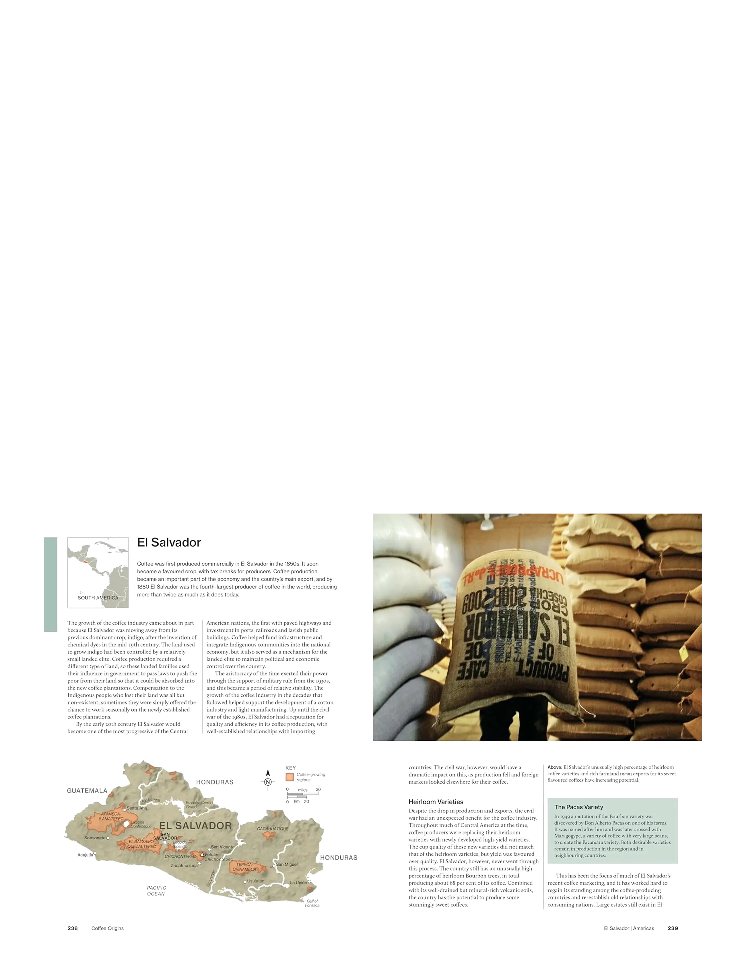 New Mags - The World Atlas of Coffee 3rd edition - kohvimasinad ja tarvikud - brown - 1