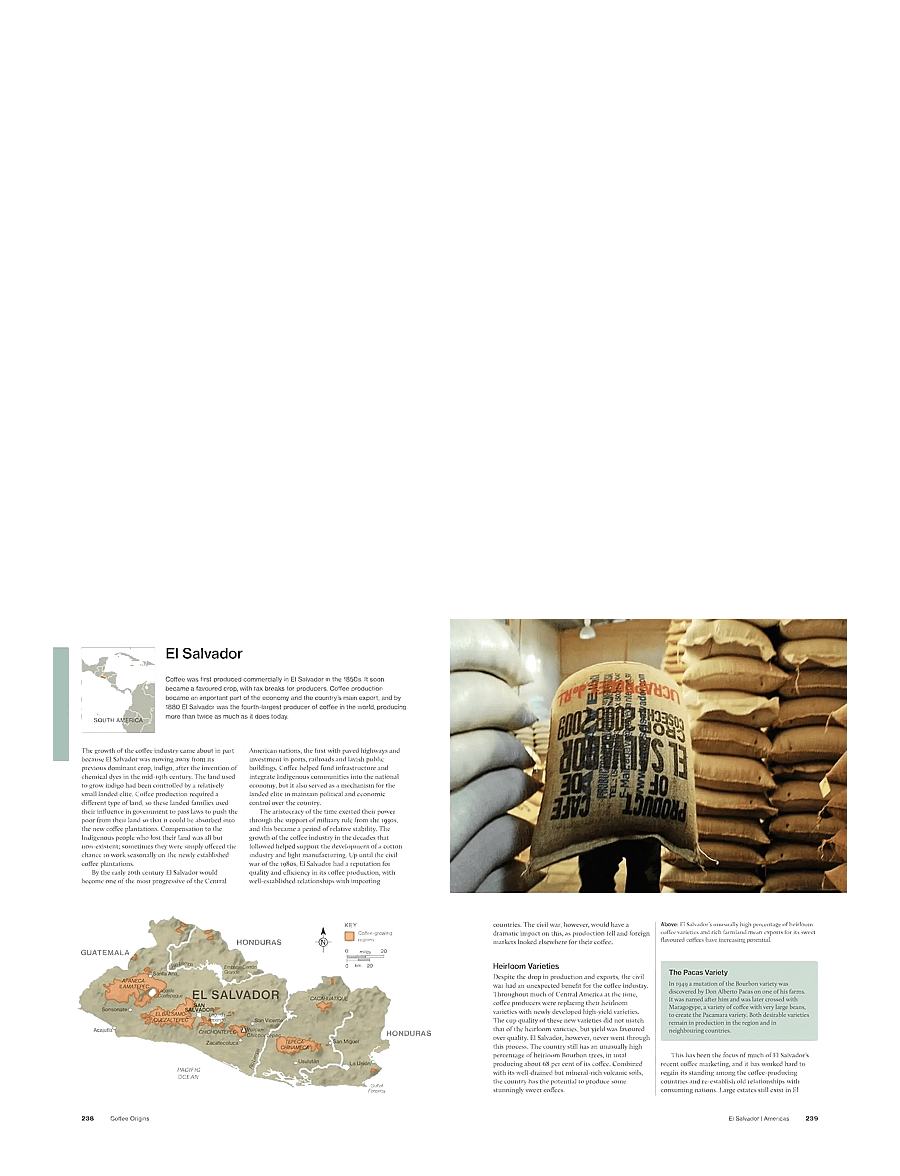 New Mags - The World Atlas of Coffee 3rd edition - kohvimasinad ja tarvikud - brown - 1