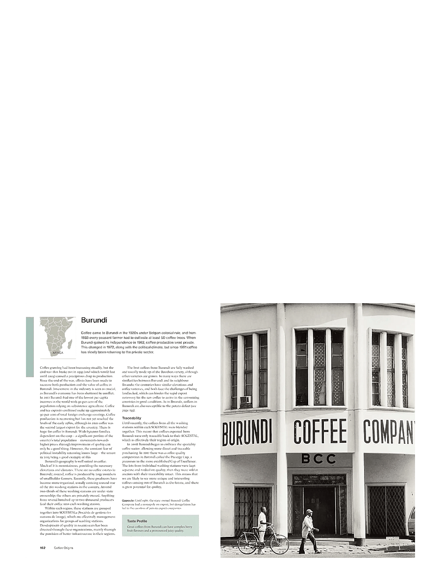 New Mags - The World Atlas of Coffee 3rd edition - kohvimasinad ja tarvikud - brown - 2