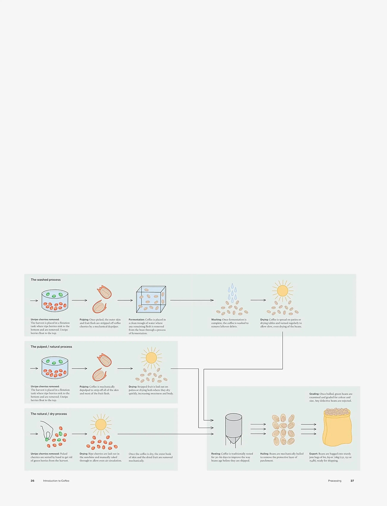 New Mags - The World Atlas of Coffee 3rd edition - kaffeemaschinen & zubehör - brown - 4