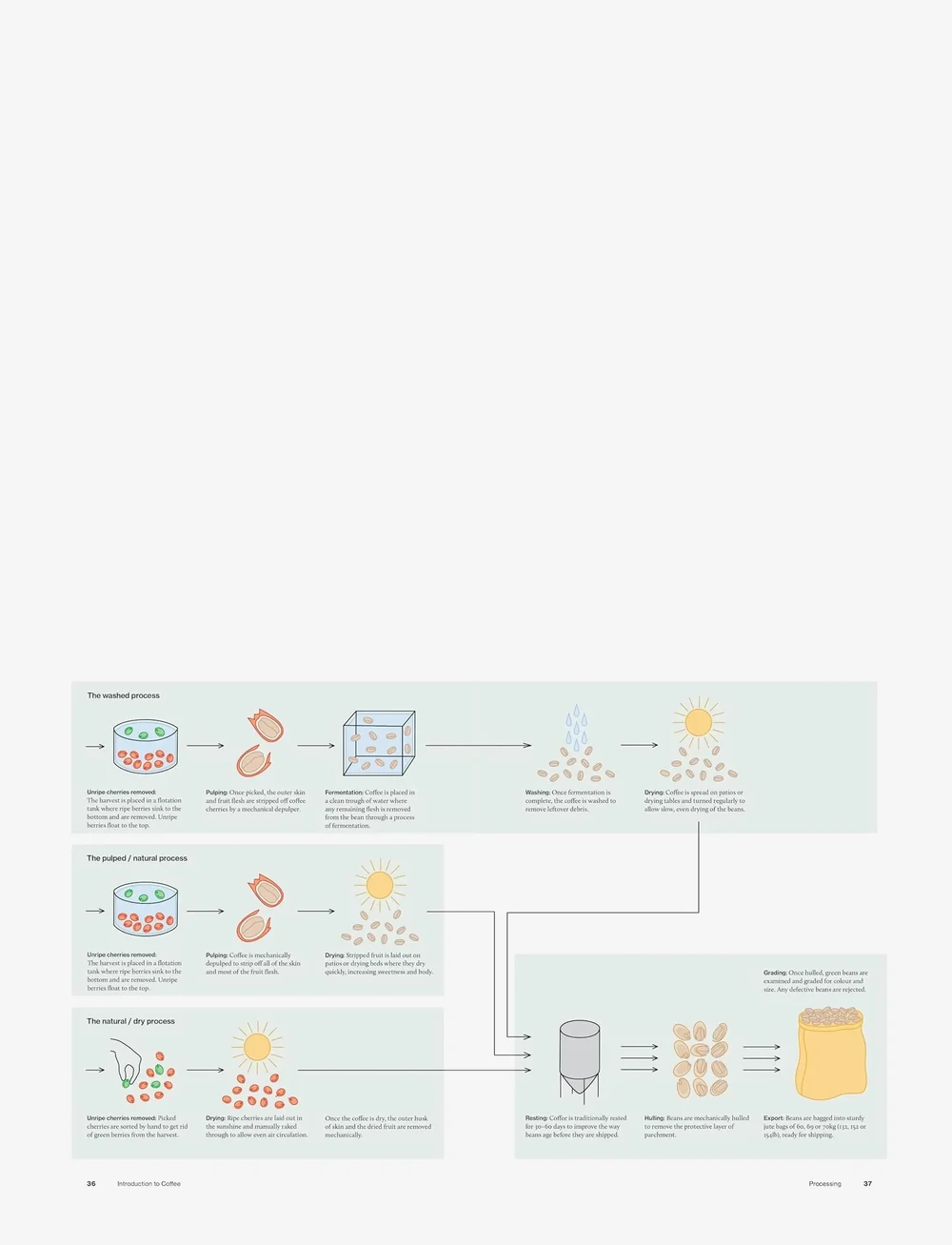 New Mags - The World Atlas of Coffee 3rd edition - köp efter pris - brown - 4