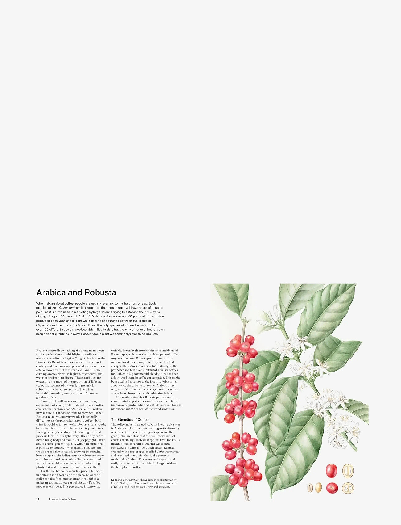 New Mags - The World Atlas of Coffee 3rd edition - kaffeemaschinen & zubehör - brown - 5