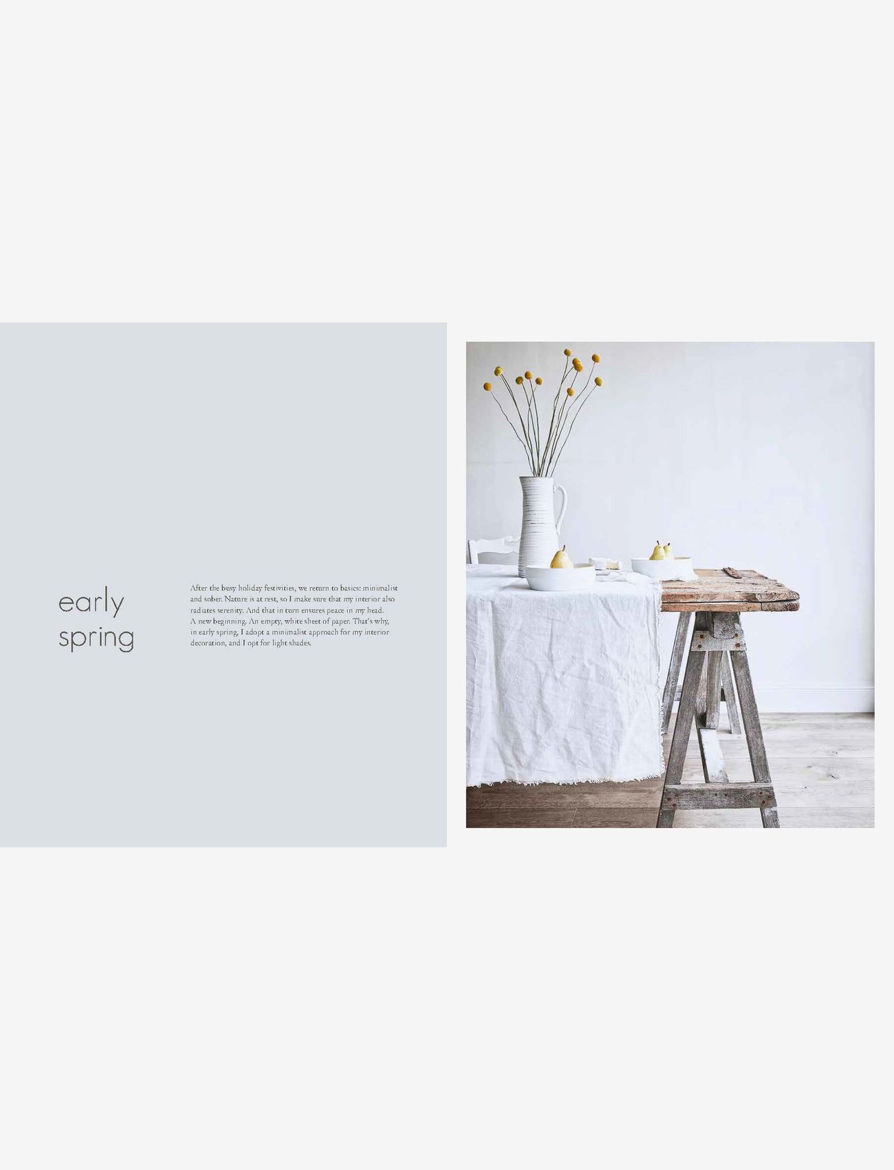 New Mags - Living with Nature - geburtstagsgeschenke - white/light grey - 1