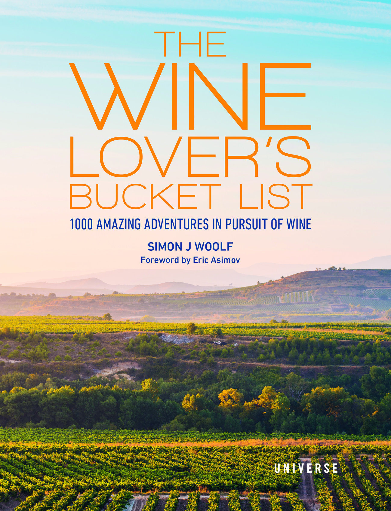 New Mags - The Bucket List: Wine - die niedrigsten preise - multi-colored - 1