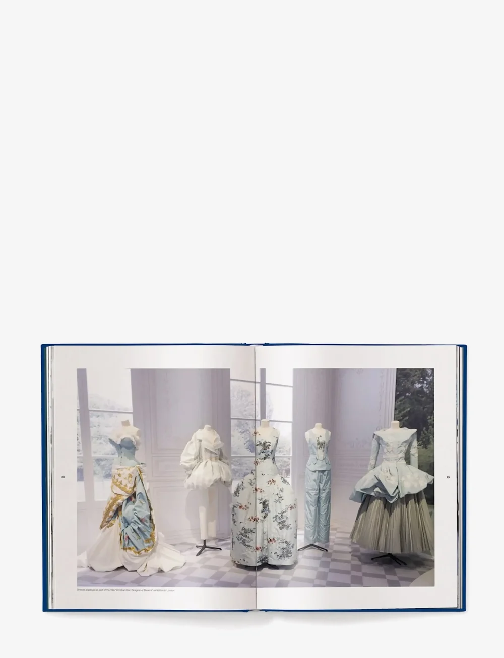 New Mags - The Ultimate Guide to Dior Bags - køb efter pris - blue - 1