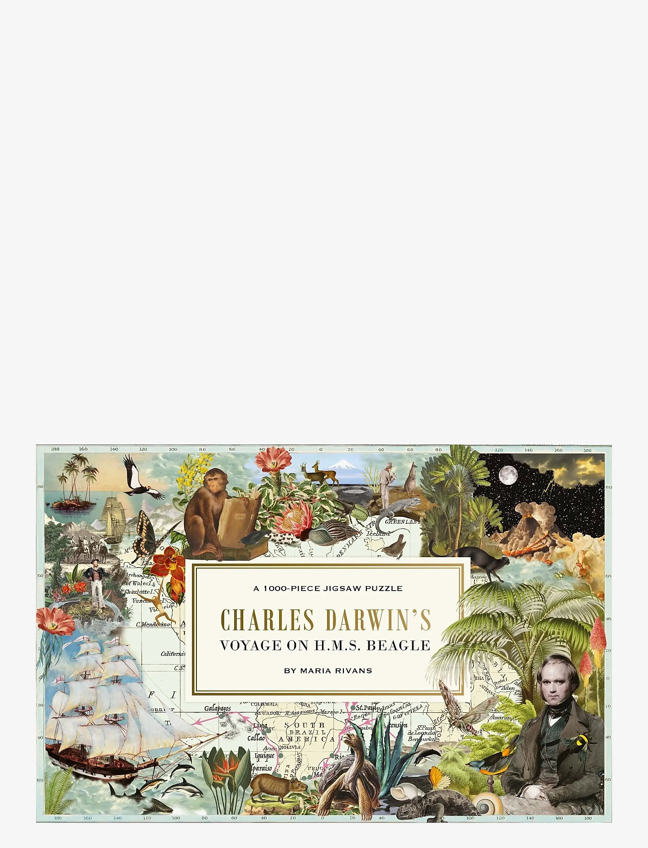 New Mags - Charles Darwin's Voyage on H.M.S. Beagle - spiele & puzzles - multi coloured - 0