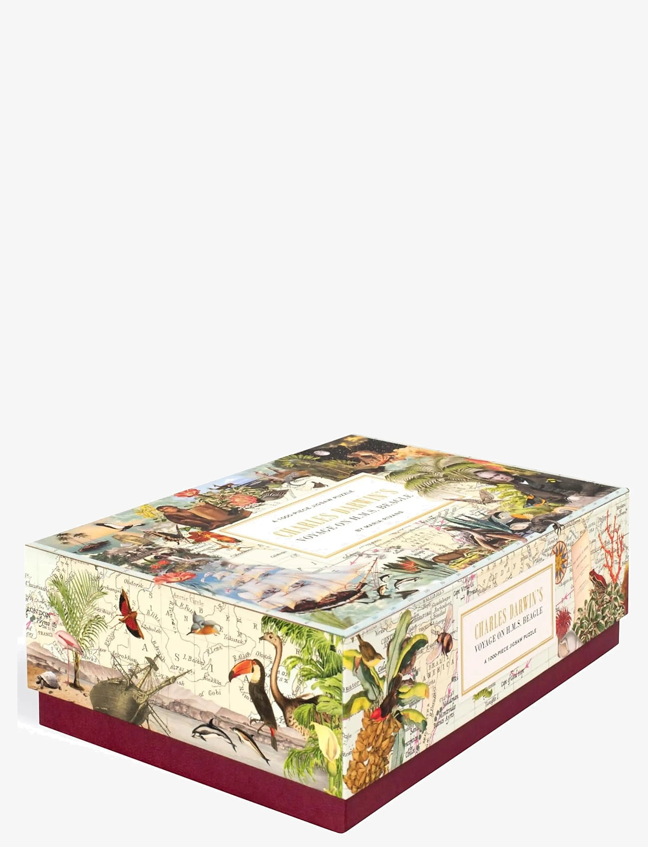 New Mags - Charles Darwin's Voyage on H.M.S. Beagle - spiele & puzzles - multi coloured - 1