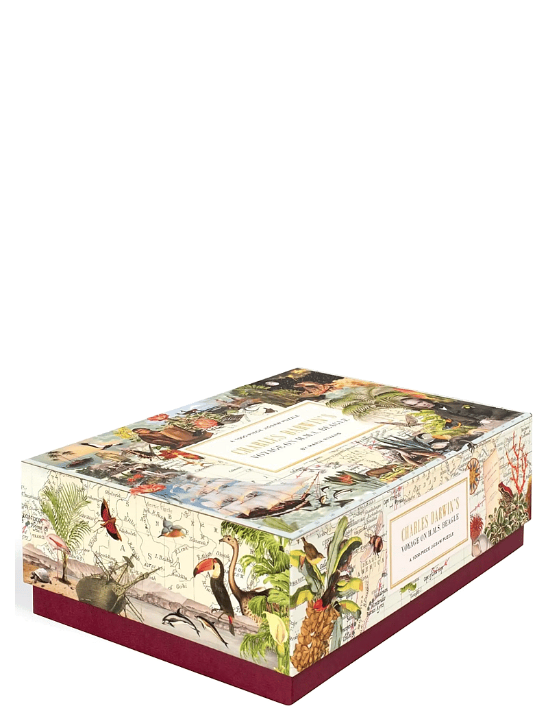 New Mags - Charles Darwin's Voyage on H.M.S. Beagle - spiele & puzzles - multi coloured - 1