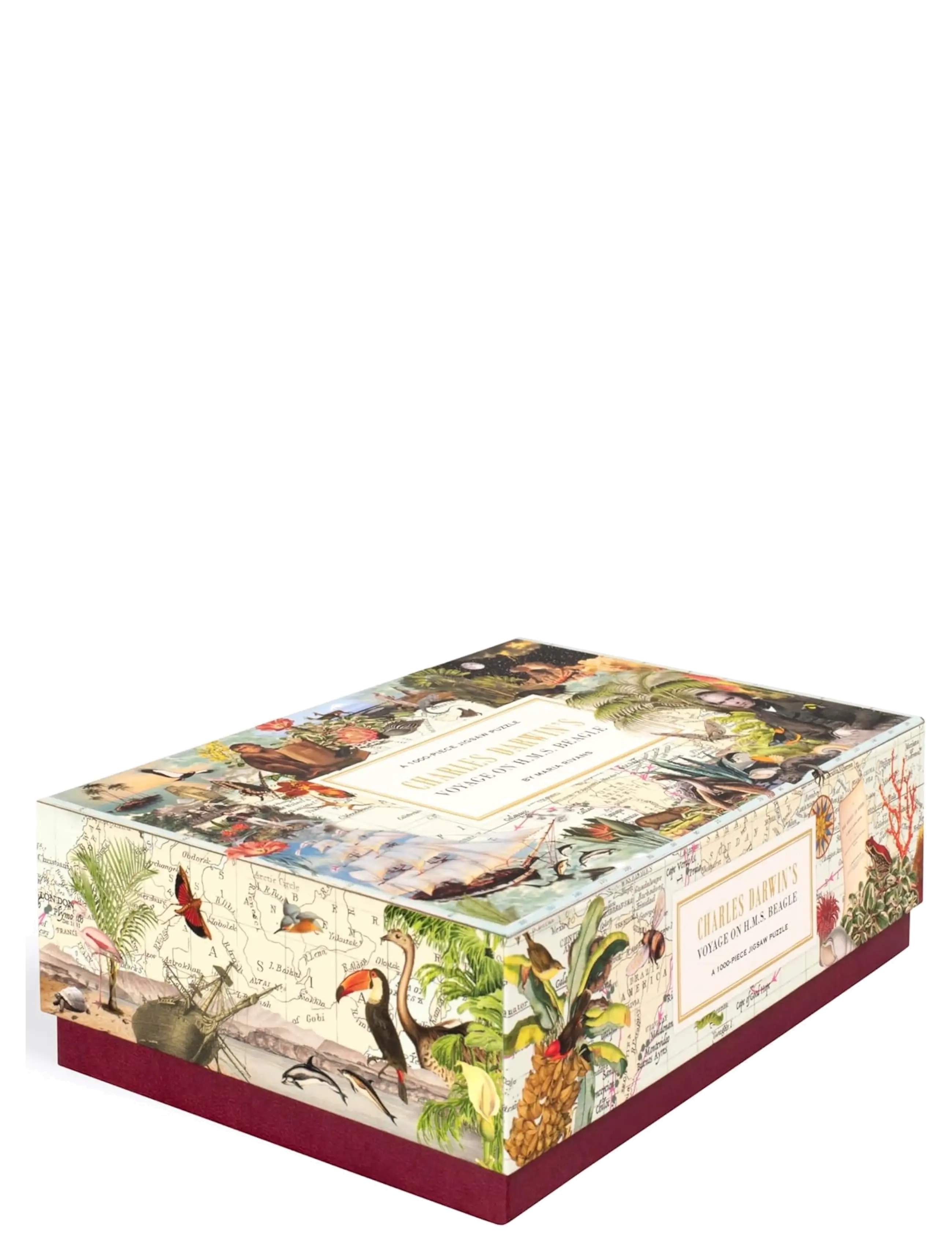 New Mags - Charles Darwin's Voyage on H.M.S. Beagle - spiele & puzzles - multi coloured - 1