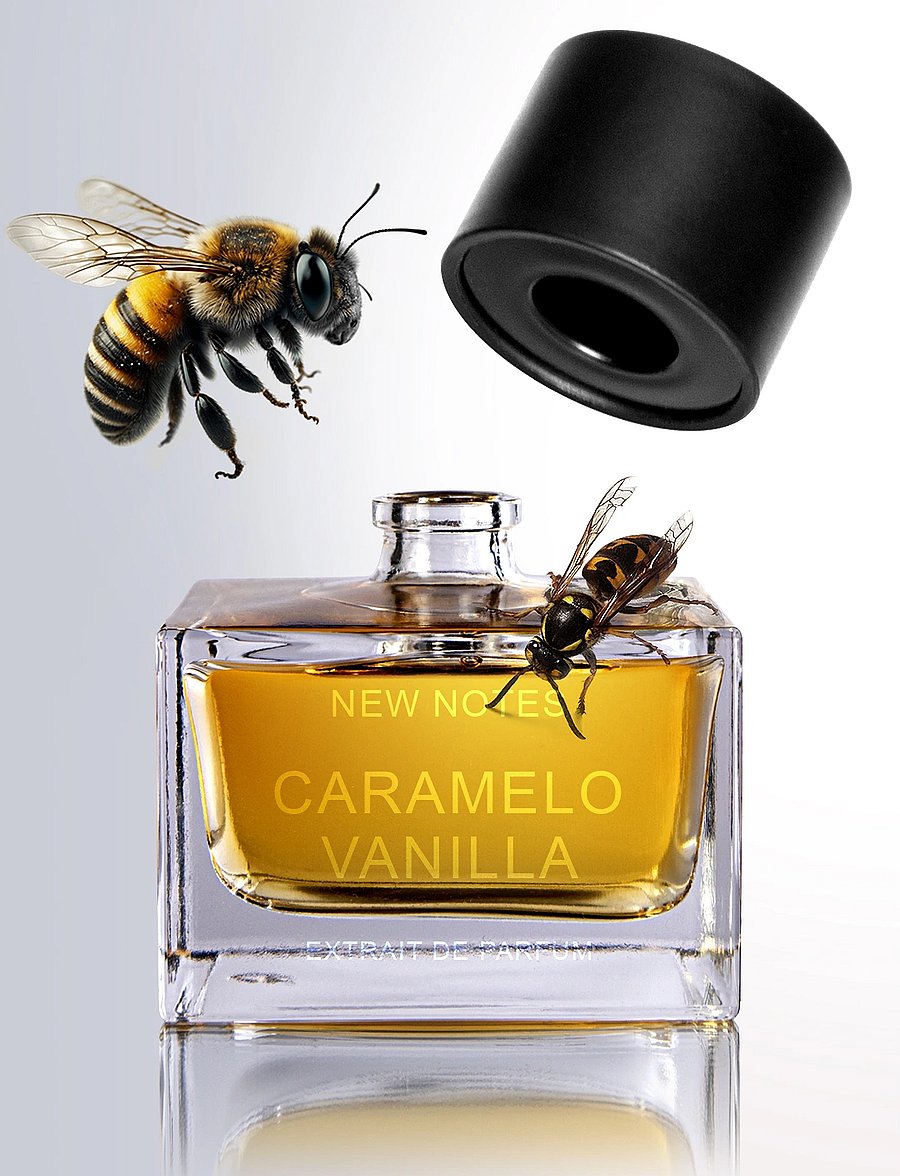 New Notes - CARAMELO VANILLA EXTRAIT DE PARFUM 50ml - meestele - clear - 0