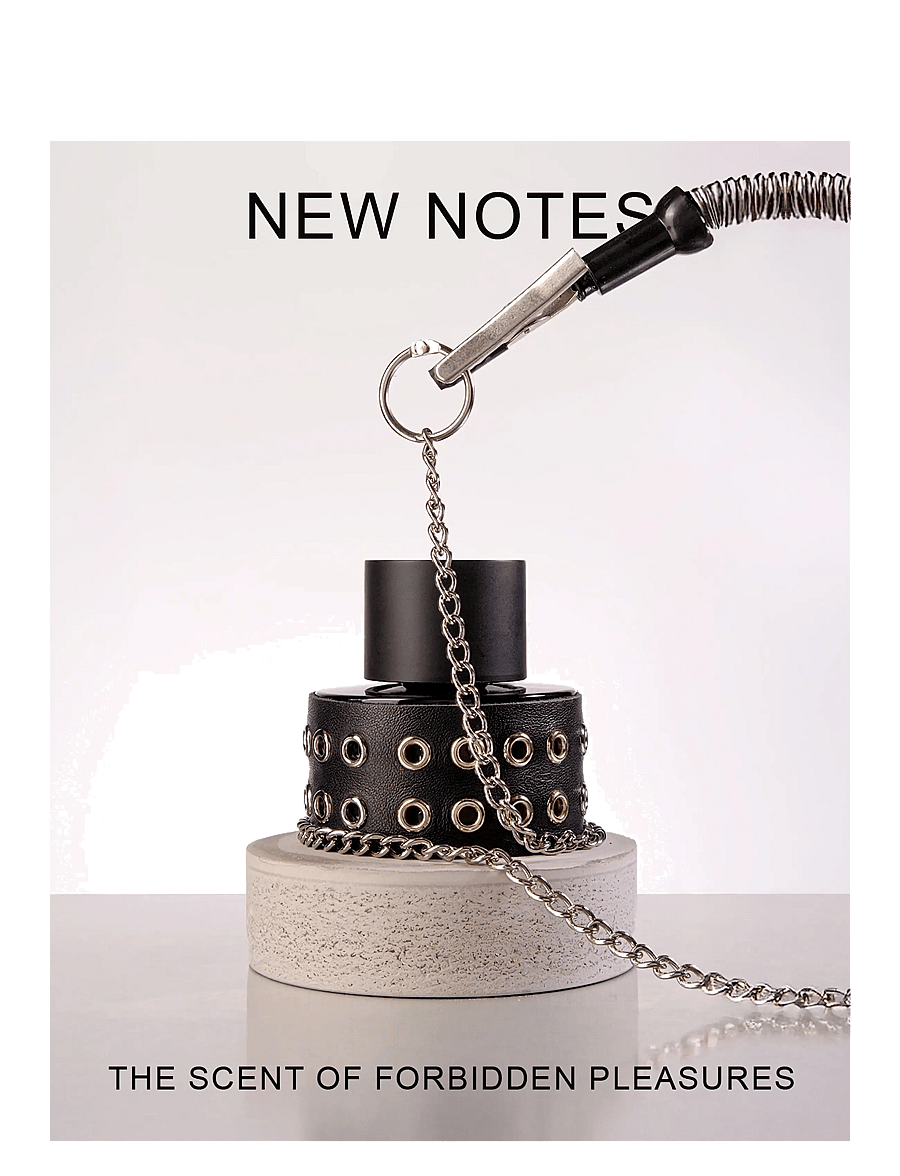 New Notes - EROTIKA Maximale EXTRAIT DE PARFUM 60 ML - meestele - clear - 4