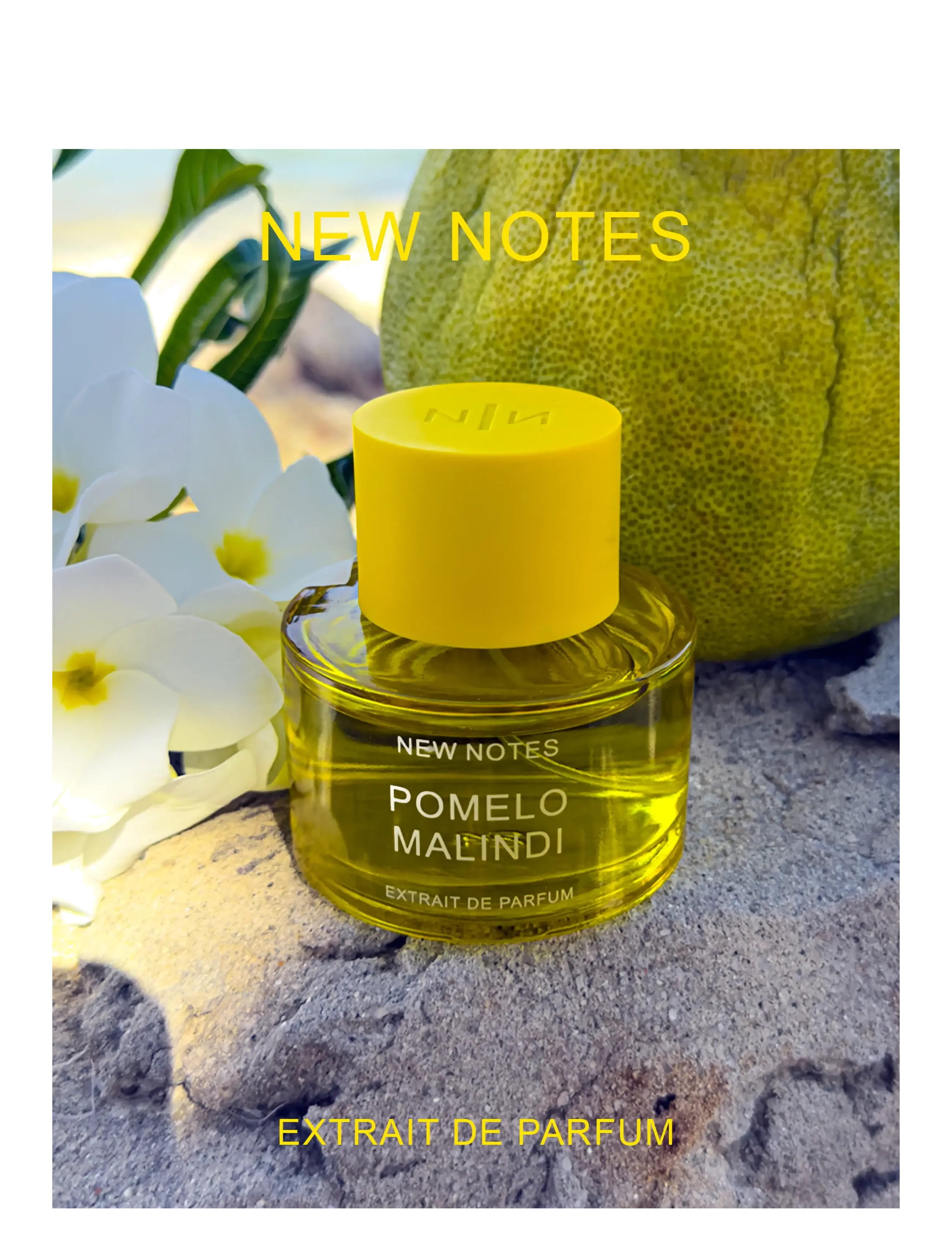 Pomelo Malindi 4