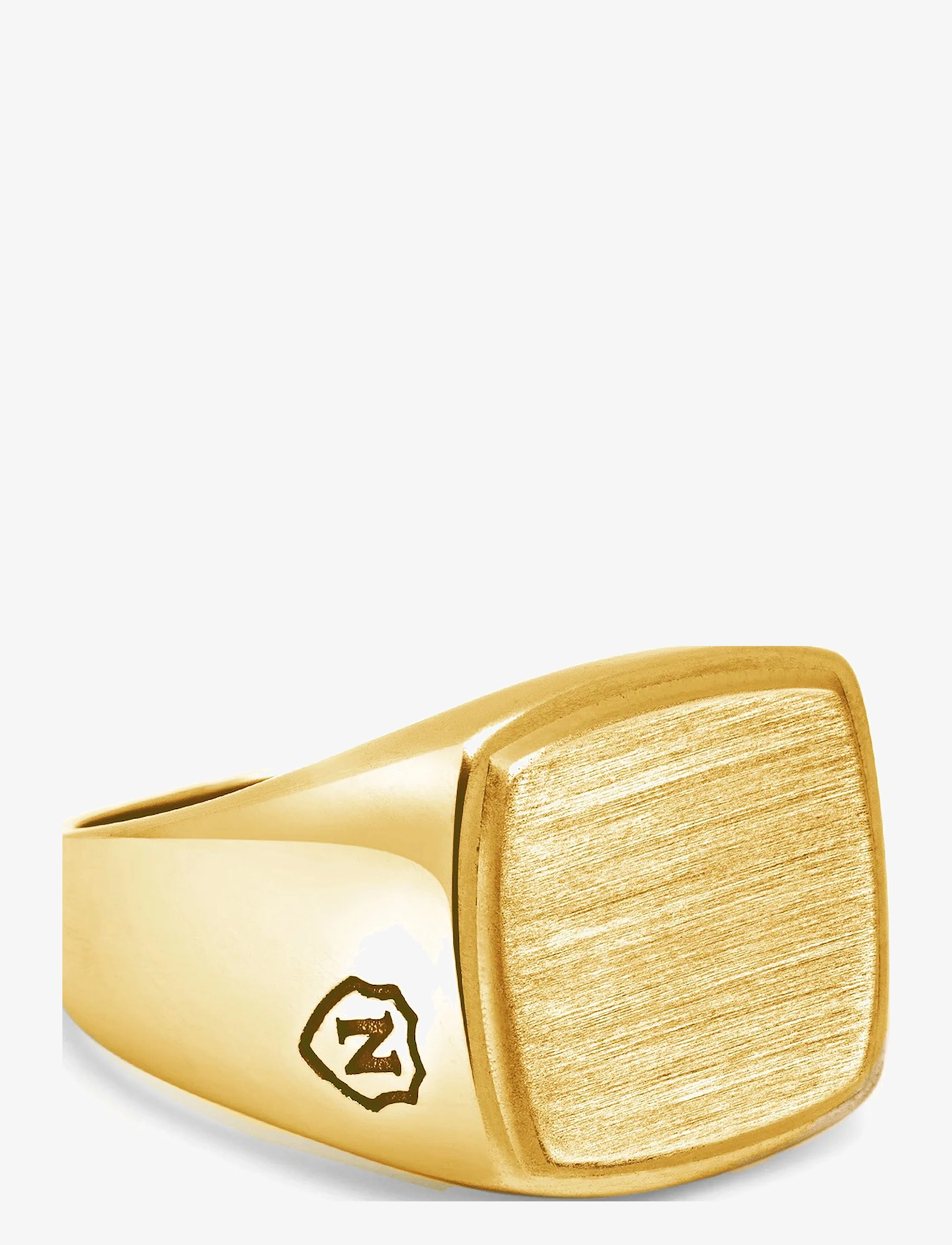Nialaya - Men's Gold Signet Ring with Brushed Steel - gold - 1