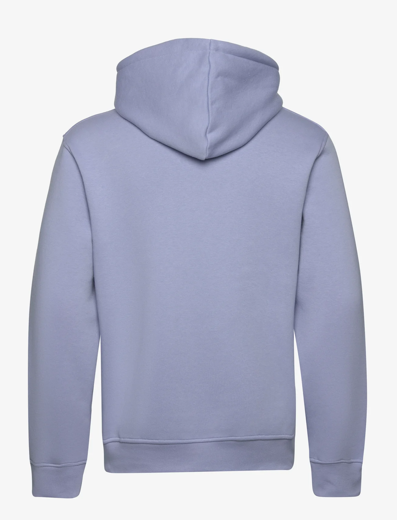 NICCE - MERCURY HOOD - hoodies - heron blue - 1