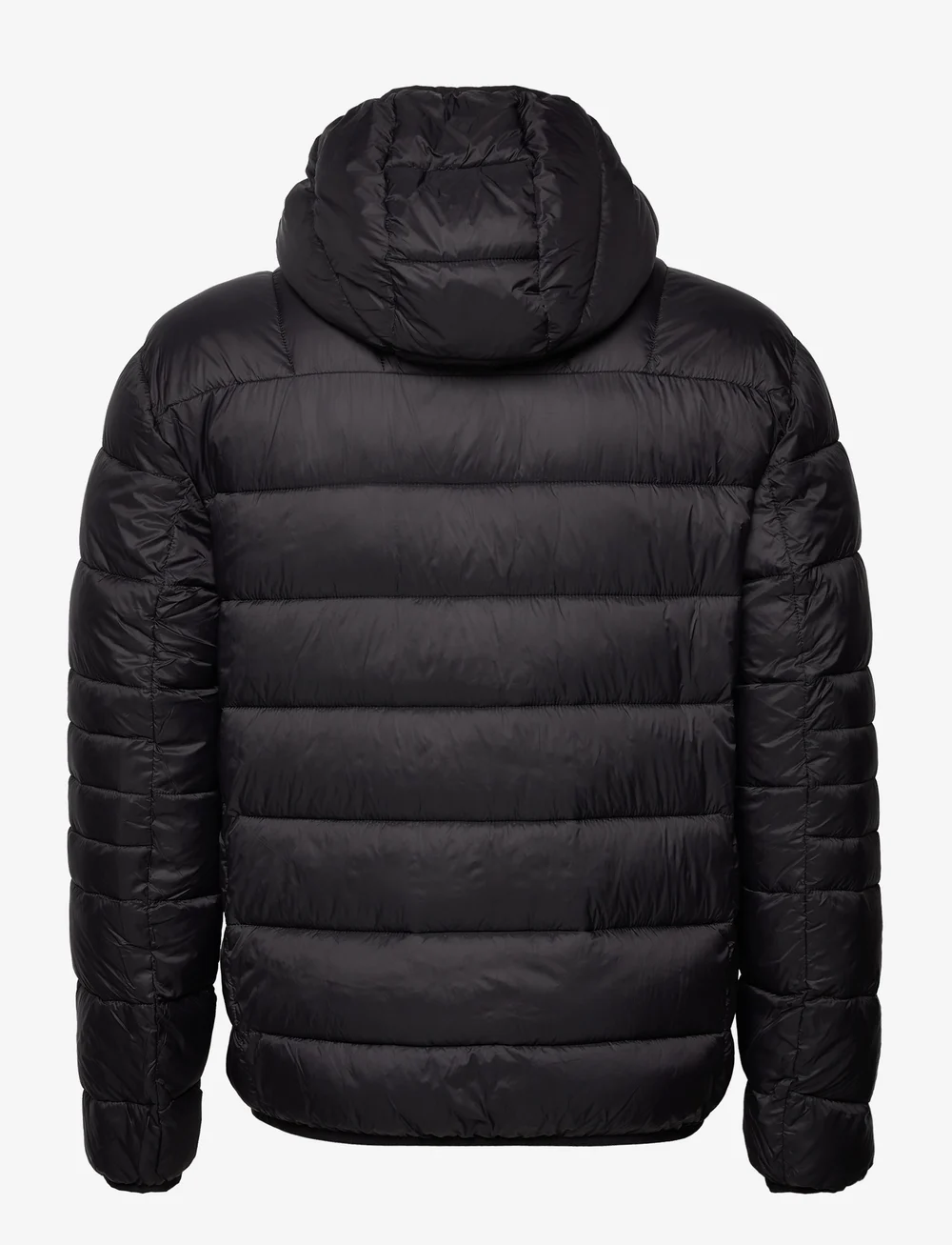 Nicce 2024 london coat