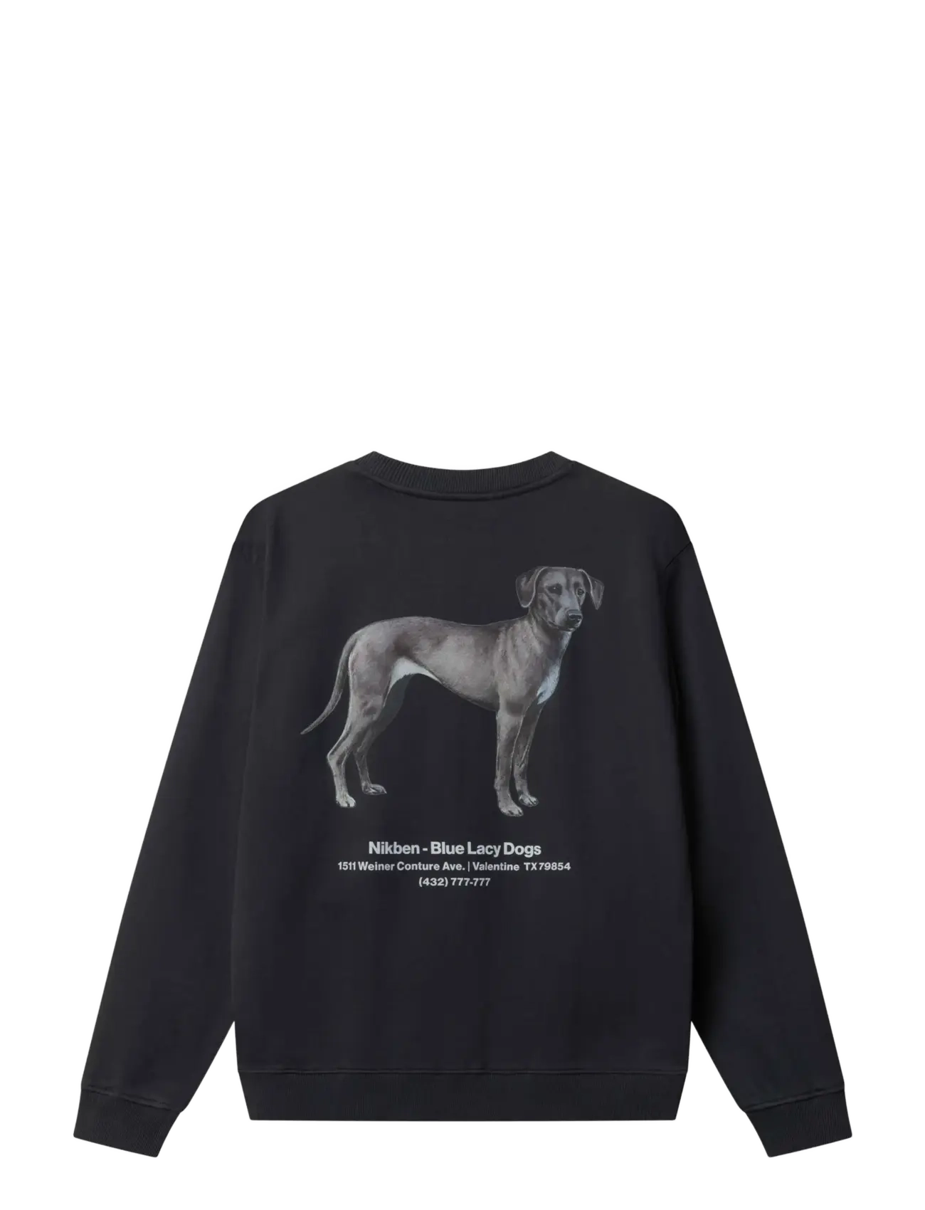 Nikben - BLUE LACY CREW - sportiska stila džemperi - vintage black - 1