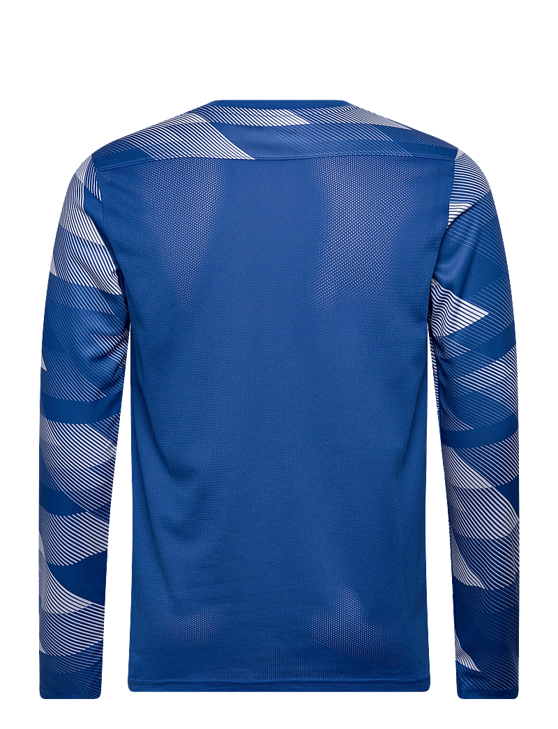 Nike - Nike Dri-FIT Park 4 Goalkeeper Jersey - långärmade tröjor - royal blue/white/white - 1