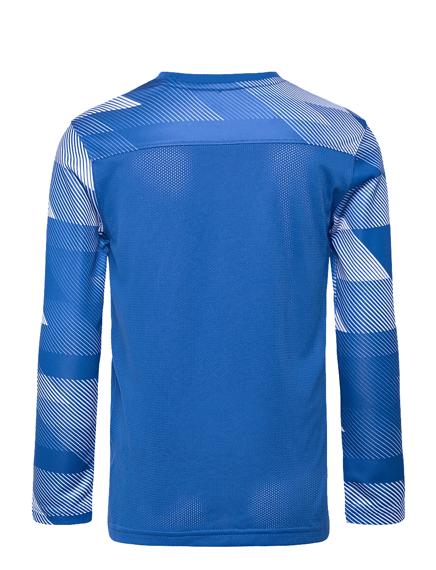 Nike - Nike Dri-FIT Park IV Goalkeeper - hauts de sport - royal blue/white/white - 1