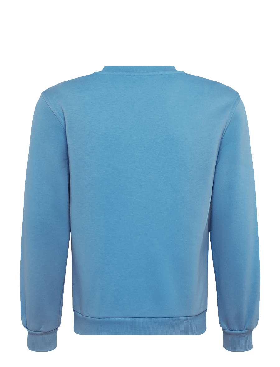 Nike - K NSW CLUB FLC CREW LS LBR - sweatshirts - football blue/white - 1