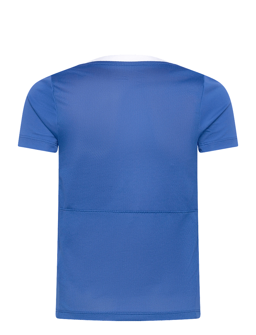 Nike - Nike DRI-FIT Academic Pro 24 Short-Sleeved Top - sportstoppe - royal blue/white/royal blue/white - 1