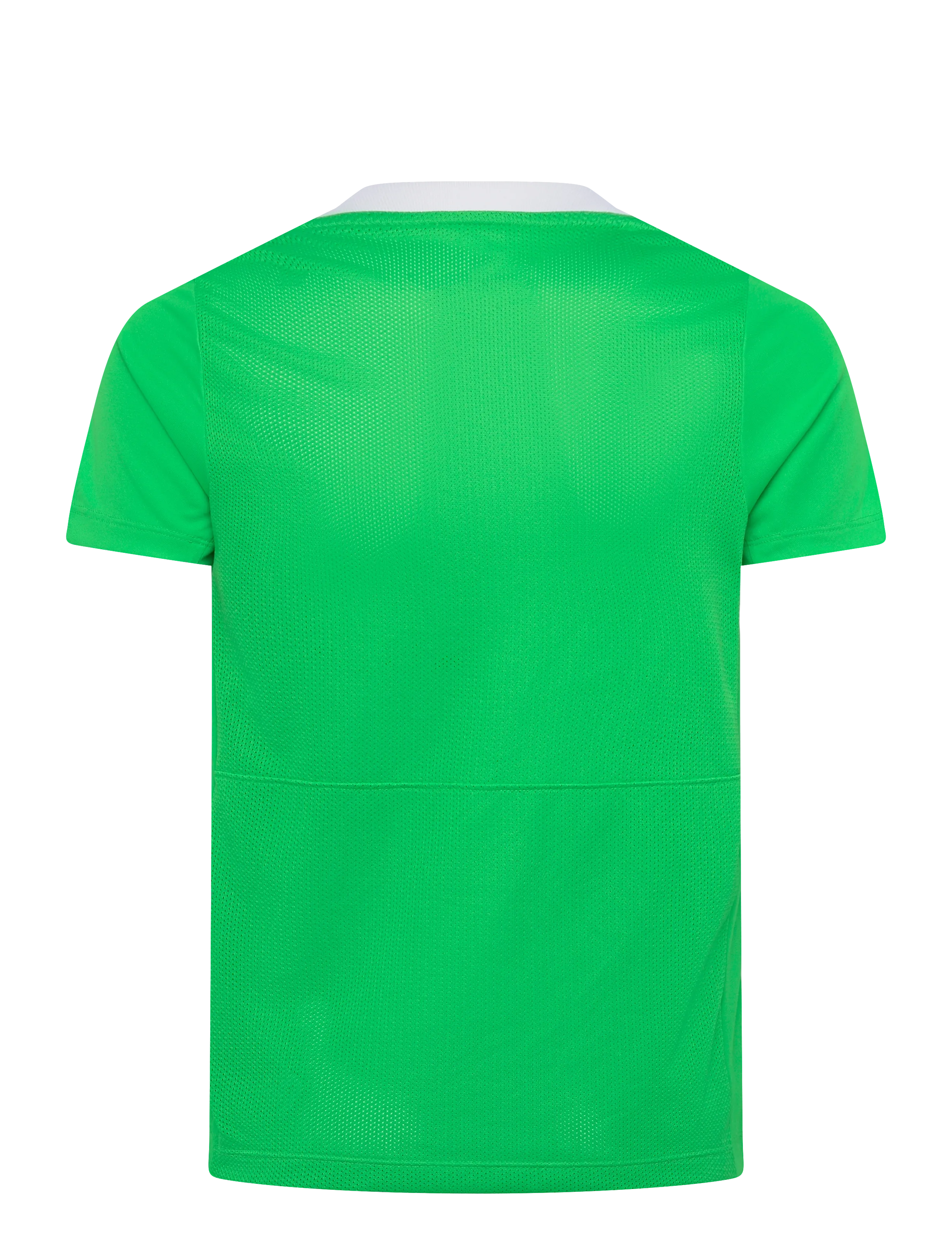 Nike - Nike DRI-FIT Academic Pro 24 Short-Sleeved Top - sportoberteile - green spark/white/green spark/white - 1