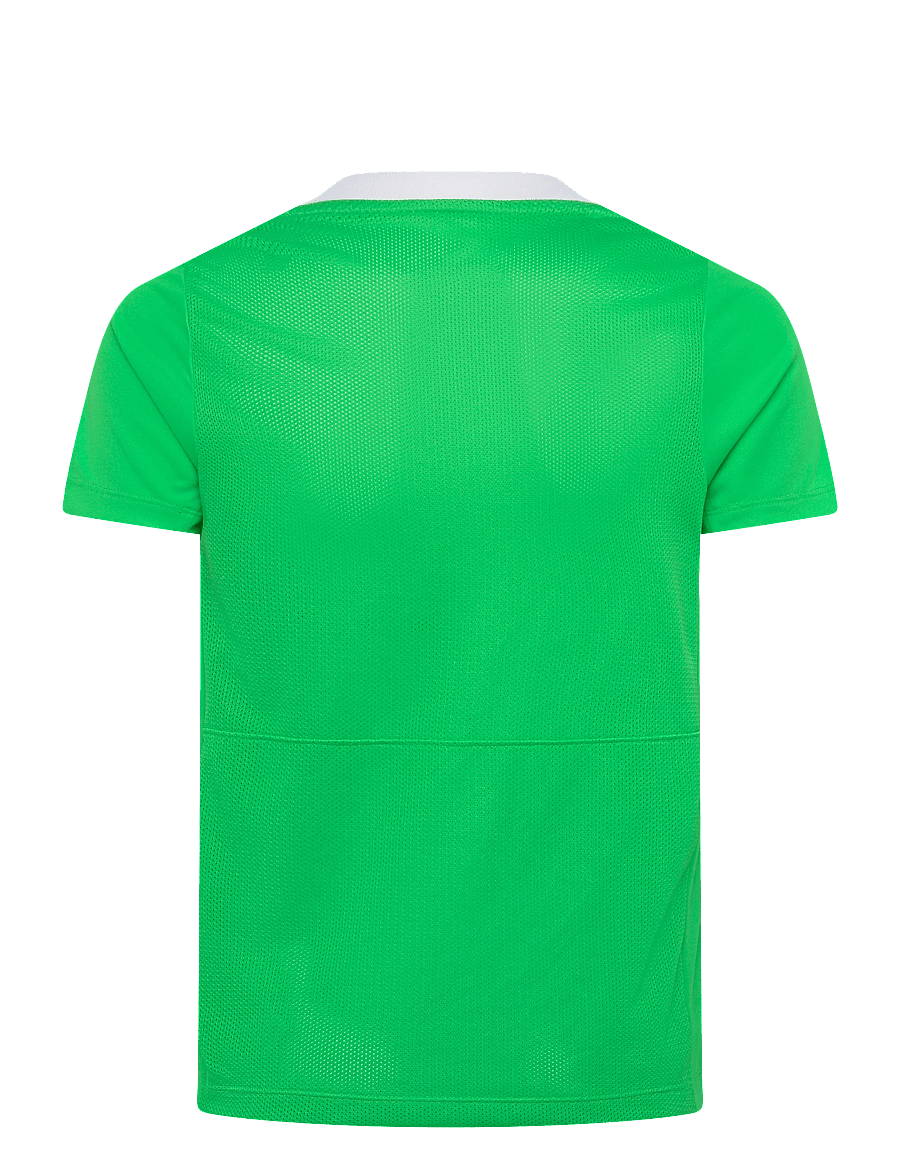 Nike - Nike DRI-FIT Academic Pro 24 Short-Sleeved Top - sportoberteile - green spark/white/green spark/white - 1