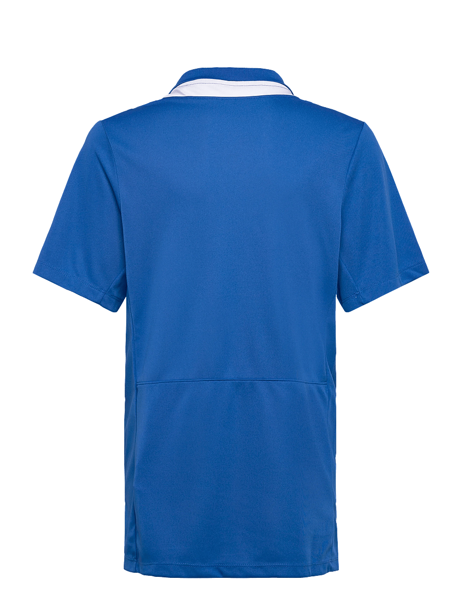 Nike - Nike DRI-FIT Academic Pro 24 Polo - toppe & t-shirts - royal blue/royal blue/white/white - 1