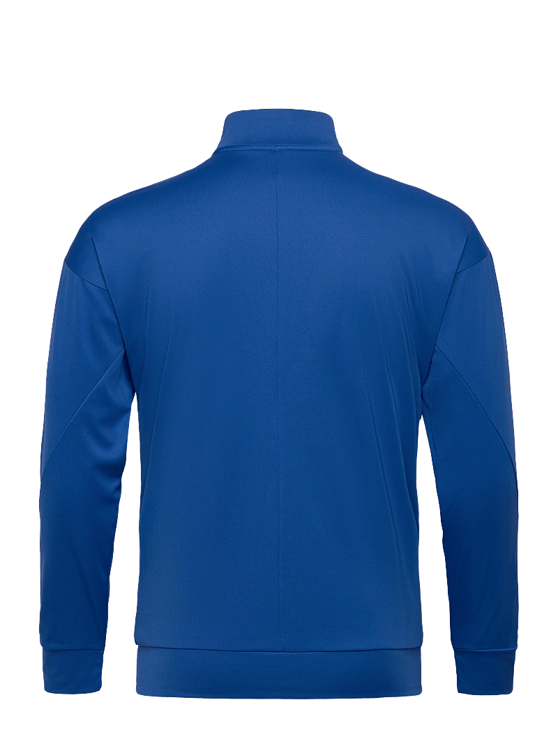 Nike - Nike Track Jacket Dri-FIT Academy Pro 24 - kurtki sportowe - royal blue/royal blue/royal blue/white - 1