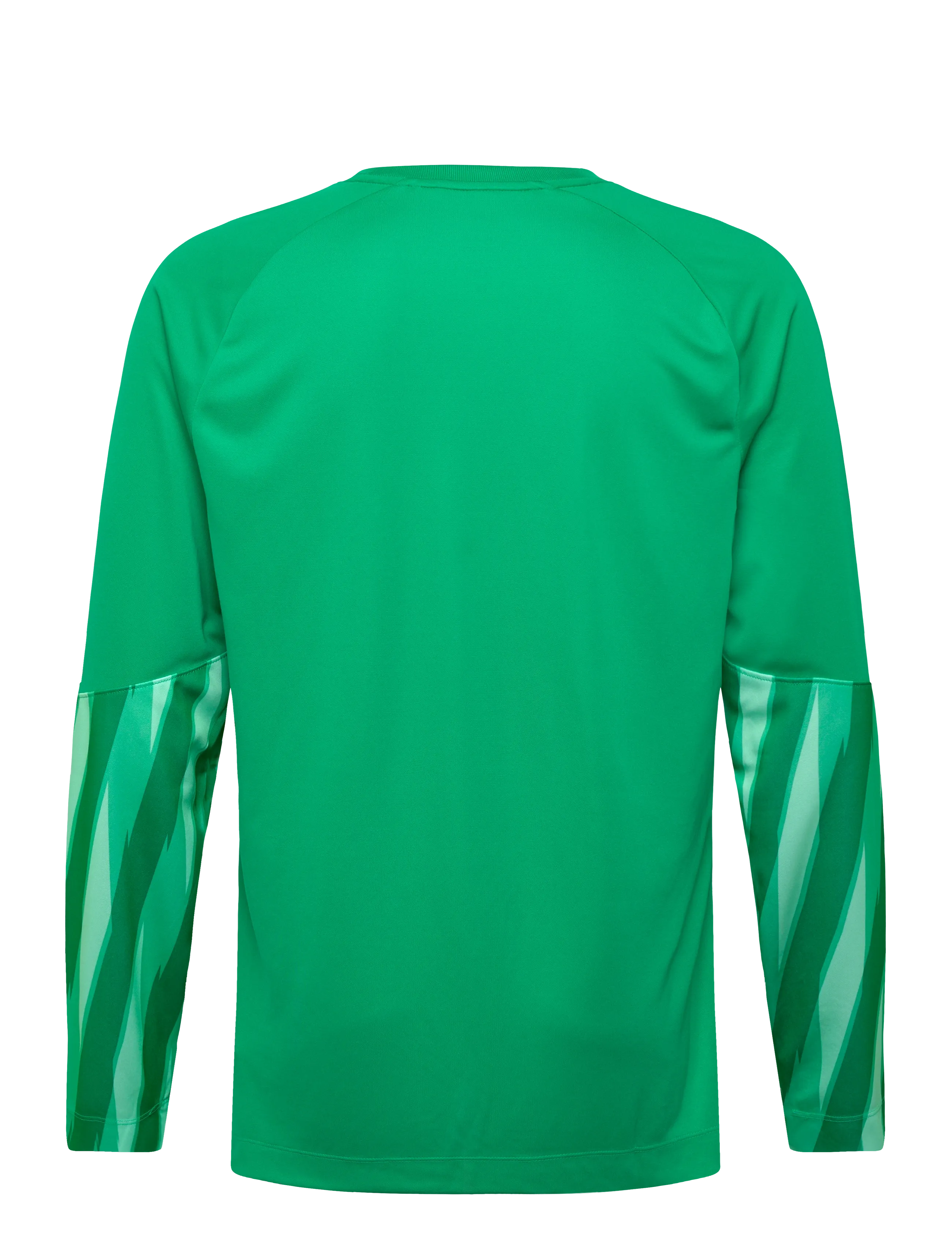 Nike - Nike DRI-FIT Park Goalkeeper Jersey Long-Sleeved - fodboldtrøjer - stadium green/white - 1
