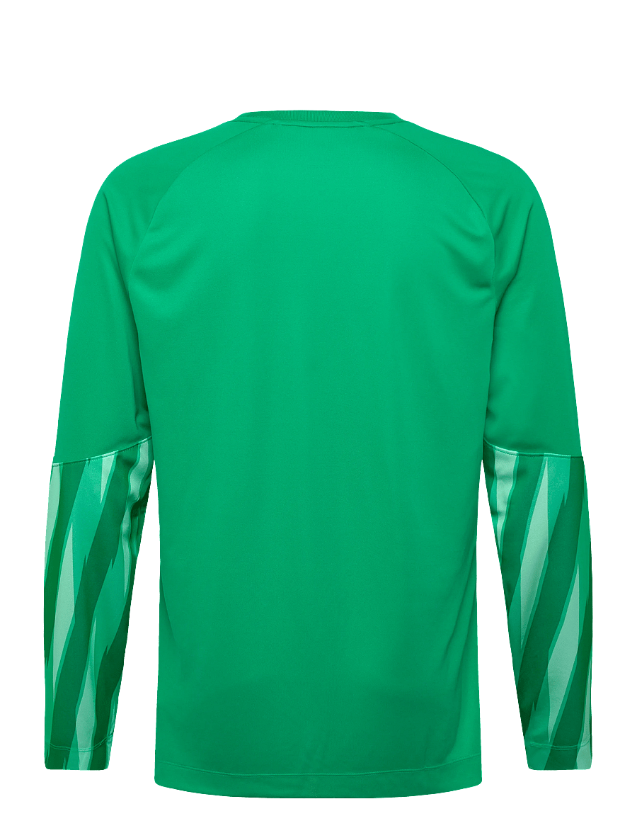 Nike - Nike DRI-FIT Park Goalkeeper Jersey Long-Sleeved - fodboldtrøjer - stadium green/white - 1