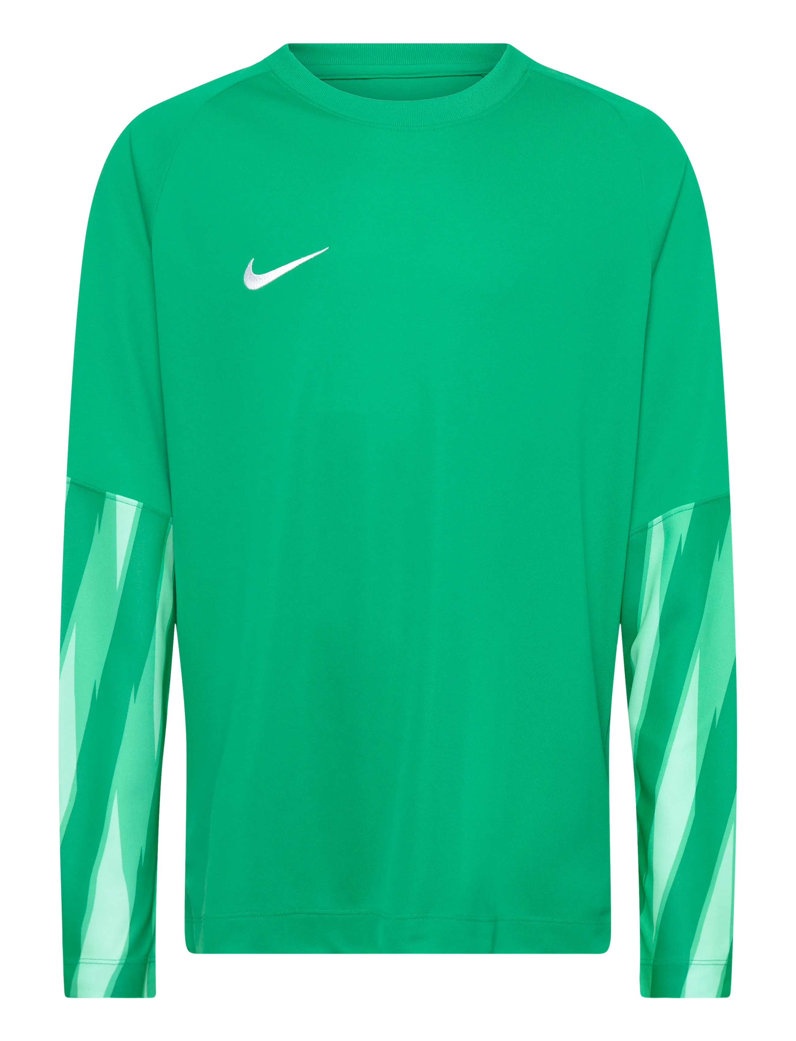 Nike Y NK DF PARK V GK JSY LS - Teymissport - STADIUM GREEN/WHITE / green