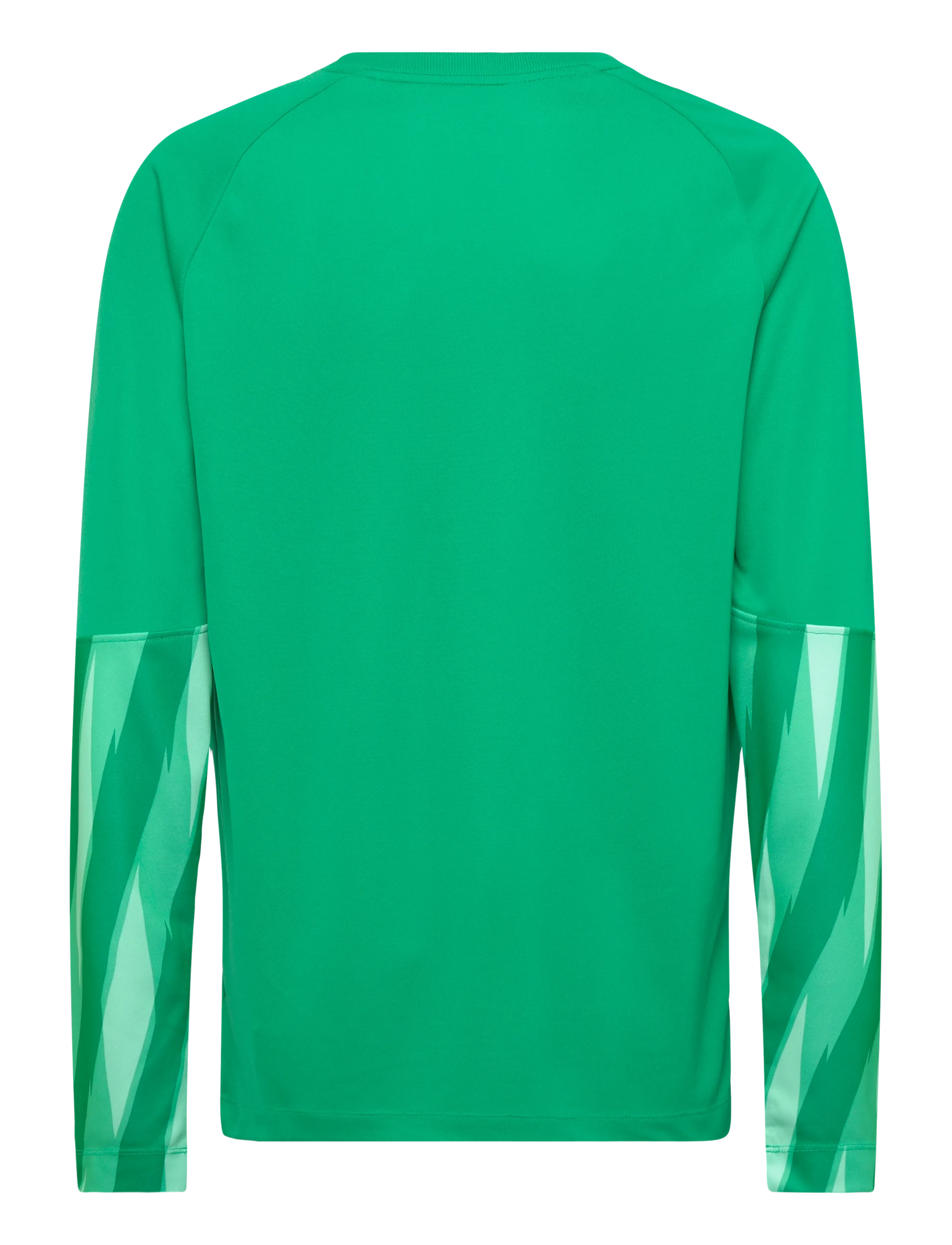 Nike - Nike DRI-FIT Park Goalkeeper Jersey Long-Sleeved - sportoberteile - stadium green/white - 1