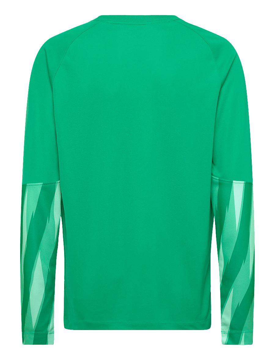 Nike - Nike DRI-FIT Park Goalkeeper Jersey Long-Sleeved - sportoberteile - stadium green/white - 1