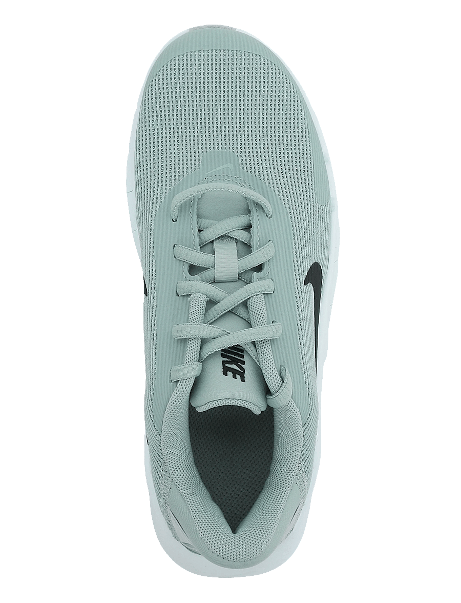 Nike - W NIKE FLEX TRAIN - niedrige sneakers - steam/black-light silver-barel - 3