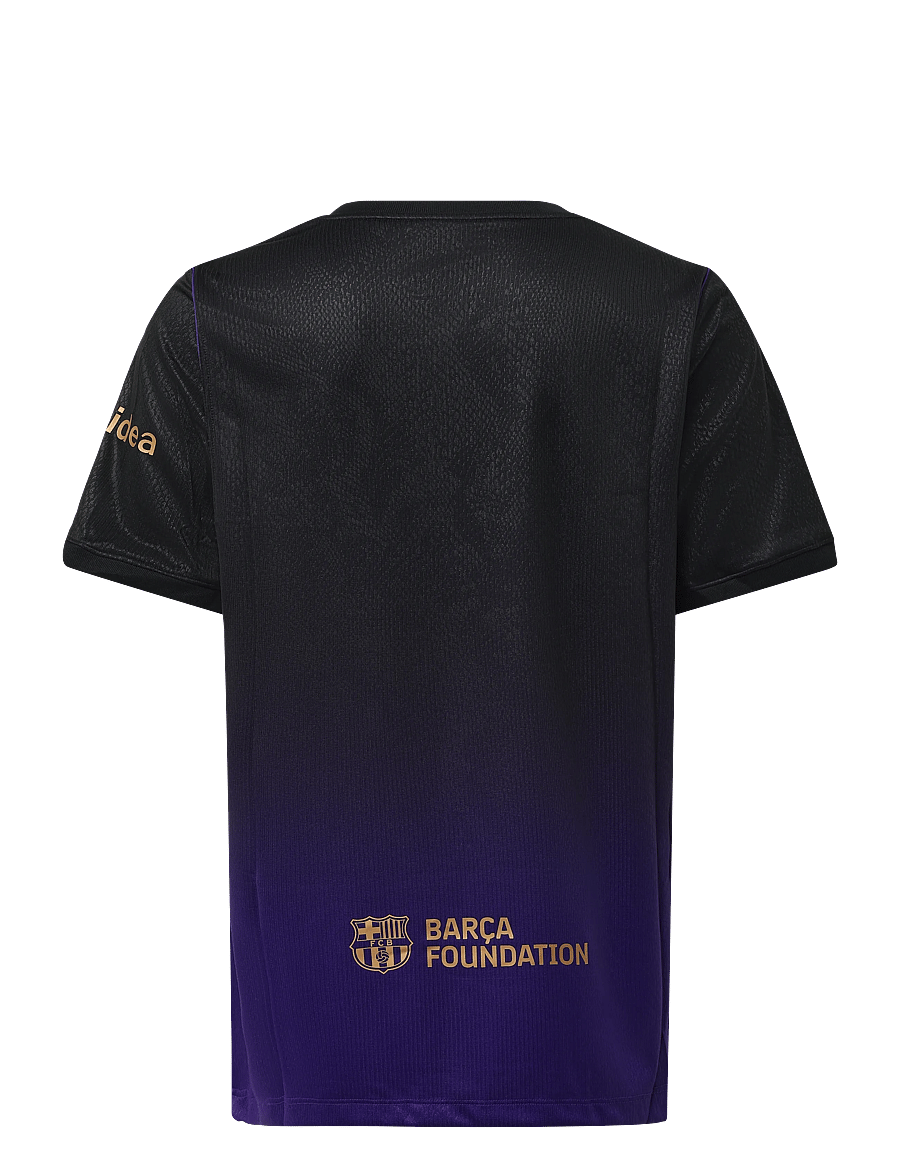 Nike - FC Barcelona Nike Dri-Fit Jersey Away 26/27 - jalgpallisärgid - field purple/field purple/meta - 1