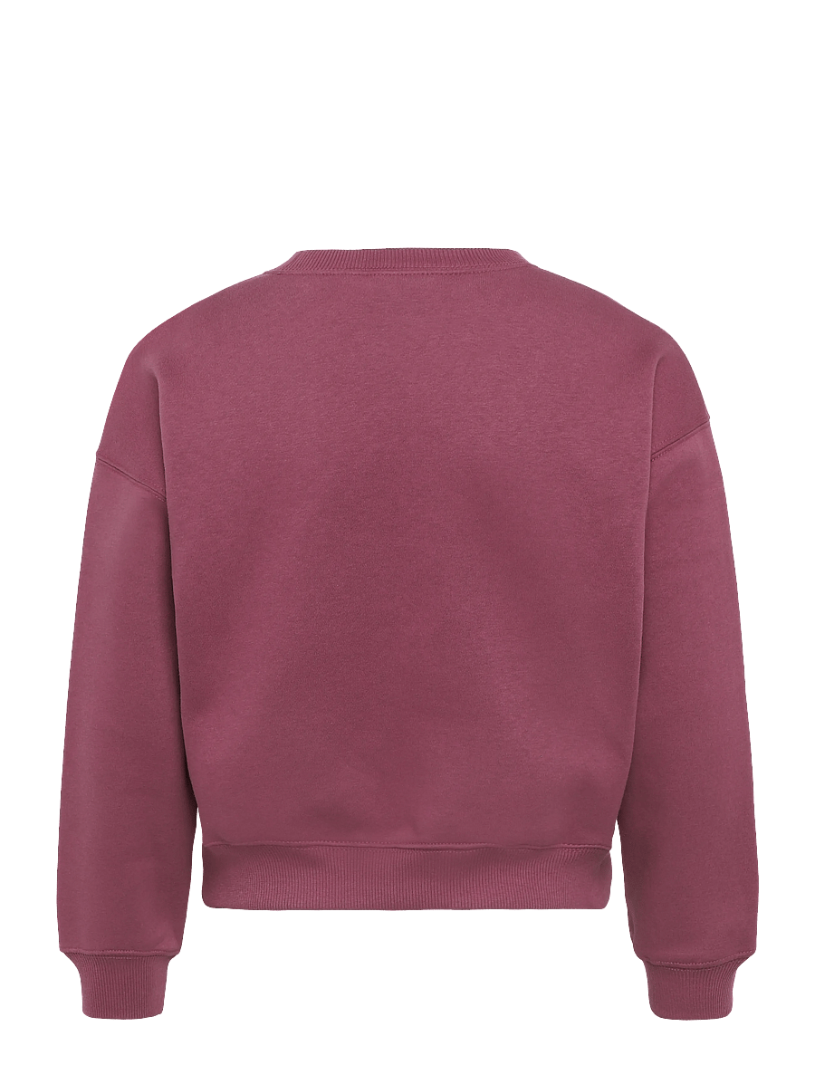 Nike - G NSW STUDIO FLC BXY OS LBR - sweatshirts - pink smoke/white - 1