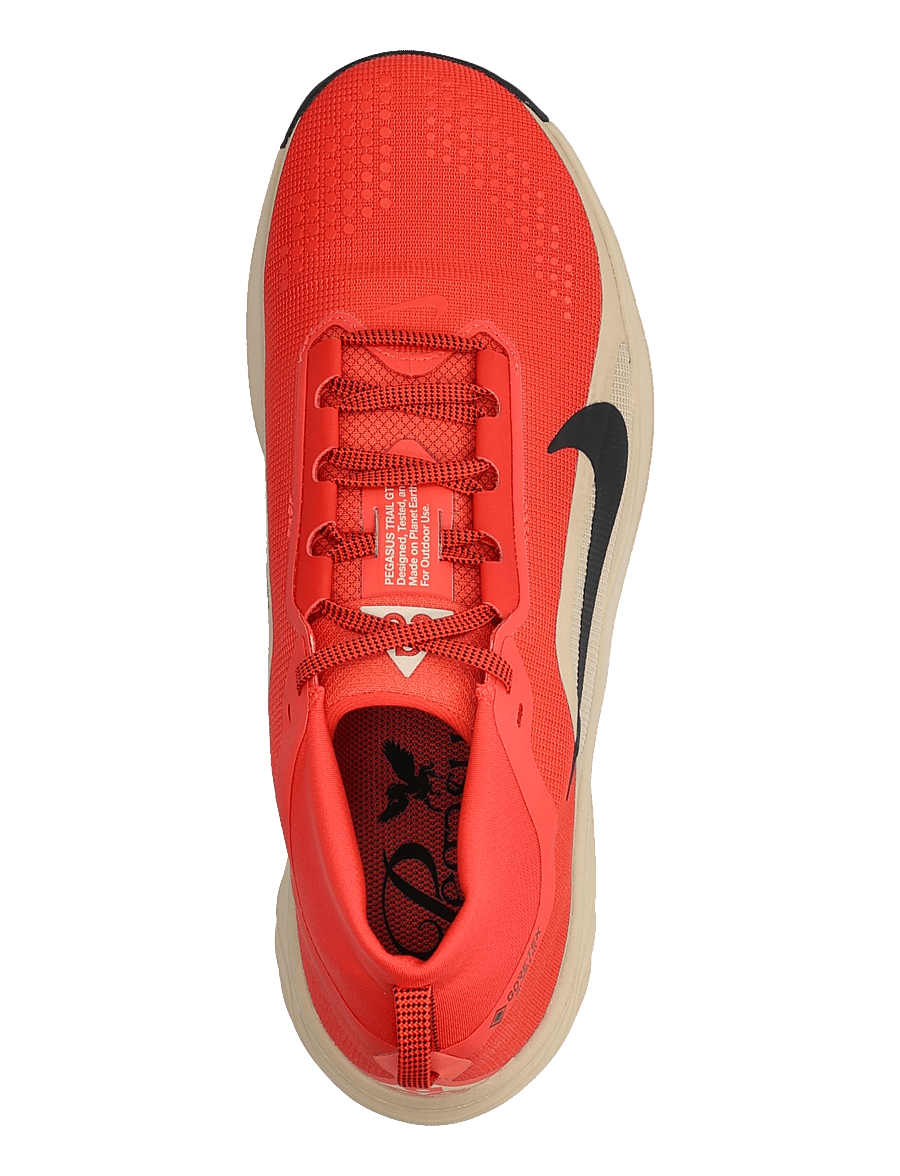 Nike - NIKE ACG PEGASUS TRAIL GTX - running shoes - lt crimson/tough red-linen - 3