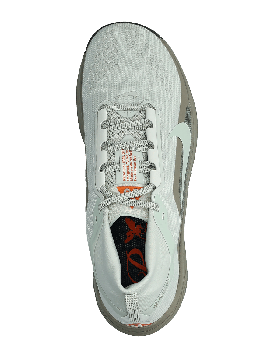 Nike - NIKE ACG PEGASUS TRAIL GTX - laufschuhe - light silver/light silver-ligh - 3