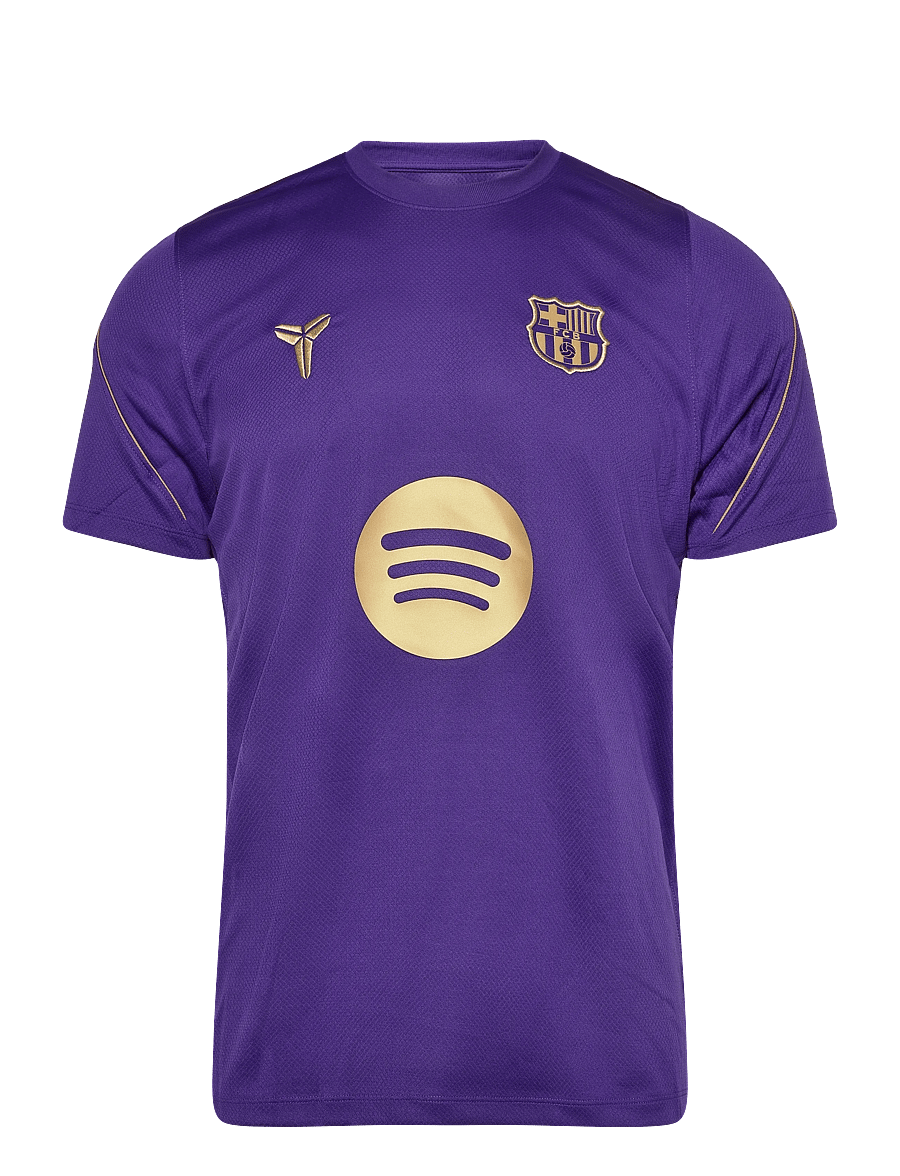 Nike - FCB M NK DF STRK SS TOP K AW - field purple/metallic gold - 0