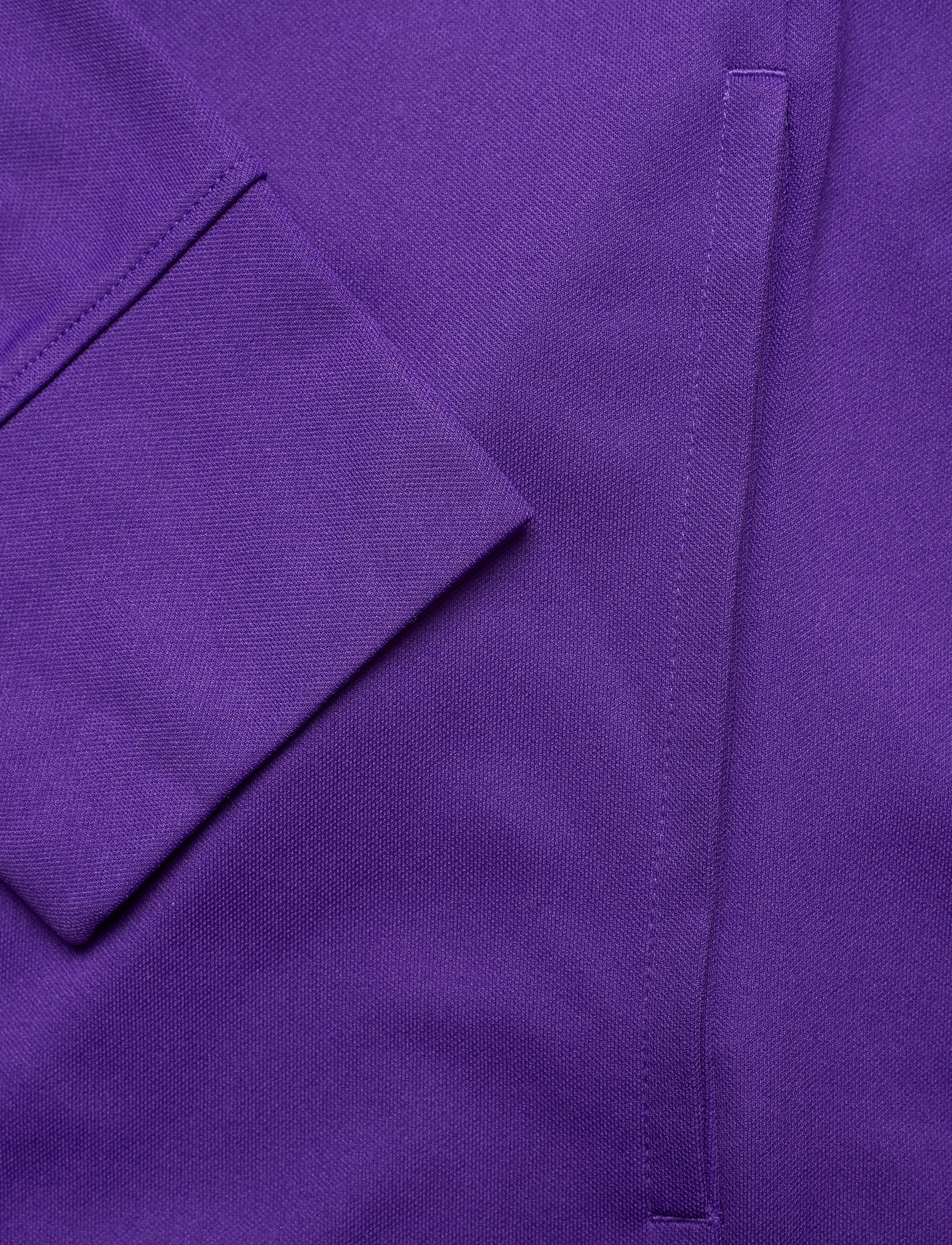 NIKE Fan Gear - Minnesota Vikings Nike Logo Long Sleeve Jacket - court purple / medium silver - 3