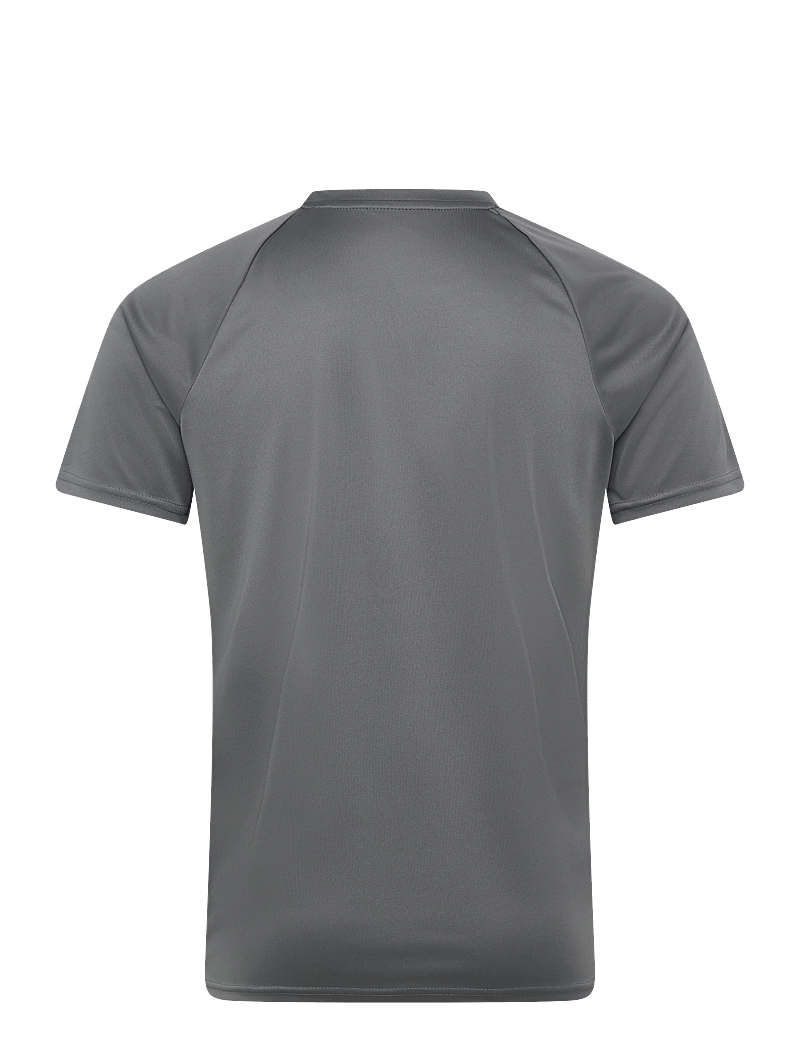 NIKE SWIM - Nike Essential Short Sleeve Hydroguard - t-shirts - cool grey - 2