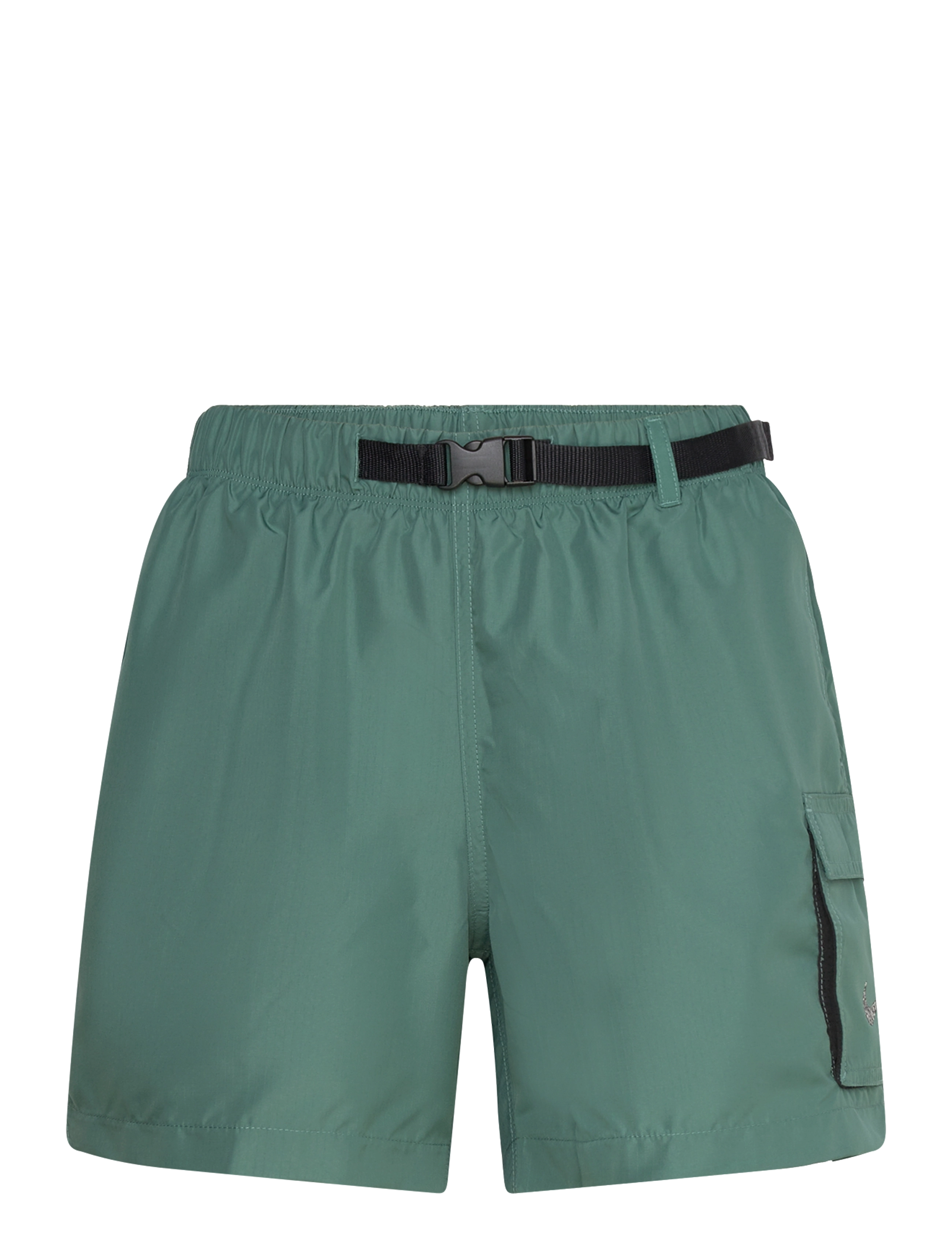 NIKE SWIM Nike 5" Volley Short Voyage - Badetøj - BICOASTAL / green