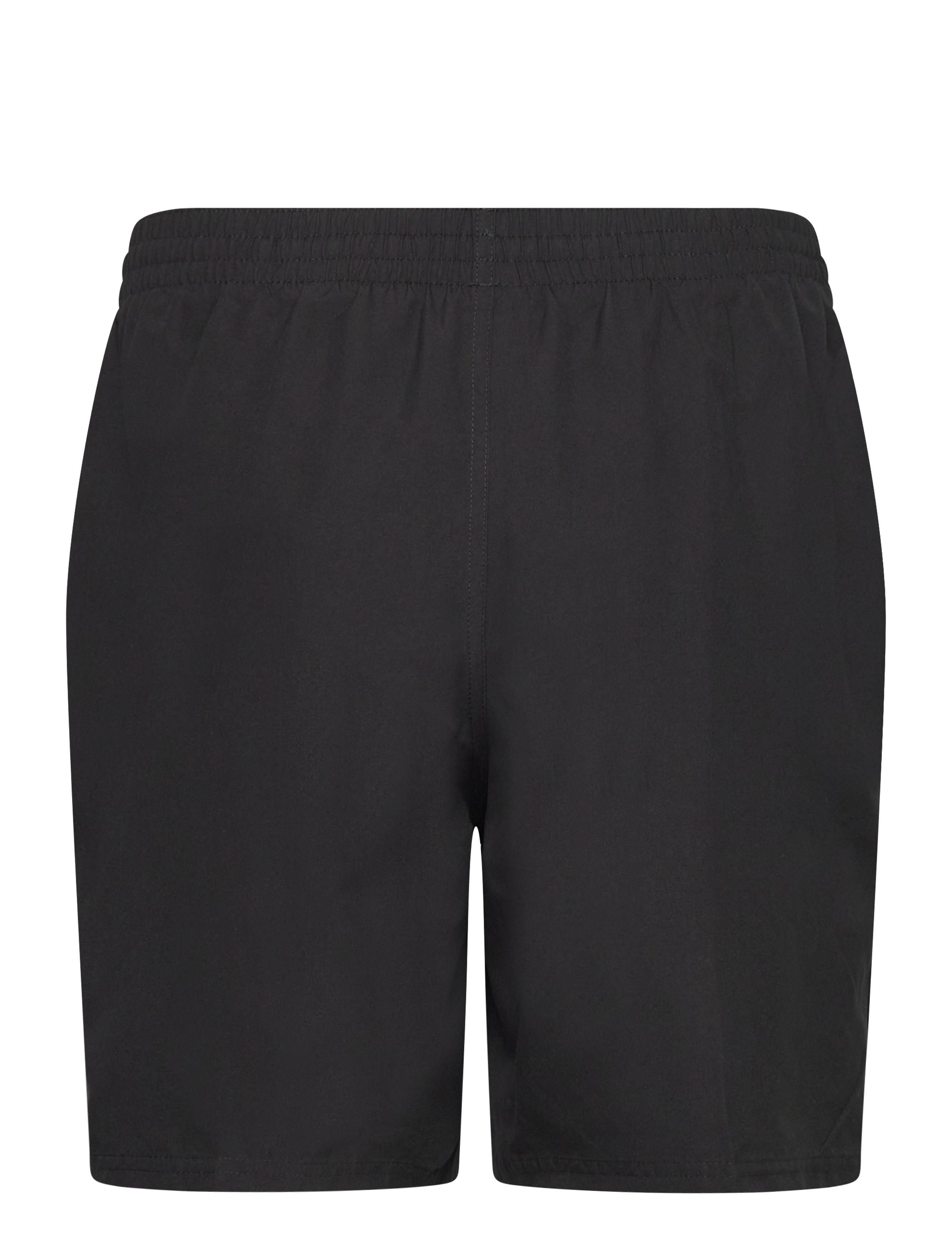 NIKE SWIM - Nike Essential Lap 7" Volley Short - lühikesed ujumispüksid - black - 2