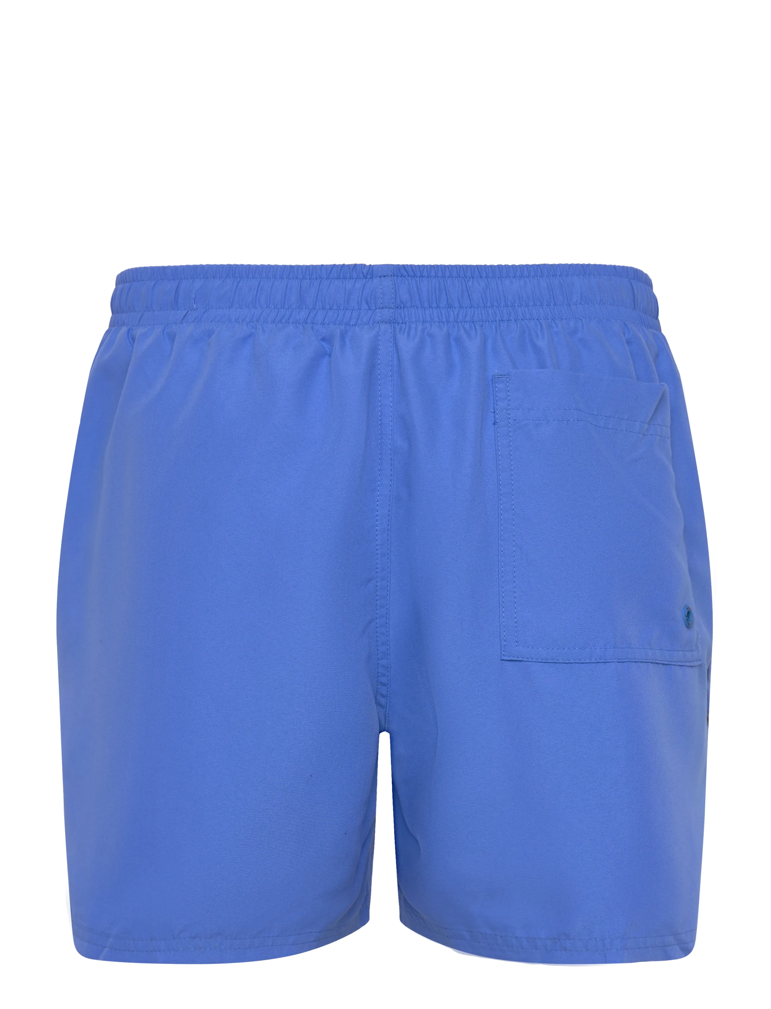 NIKE SWIM - Nike Breaker Logo Tape 5" Volley Short - lühikesed ujumispüksid - blue crystal - 2