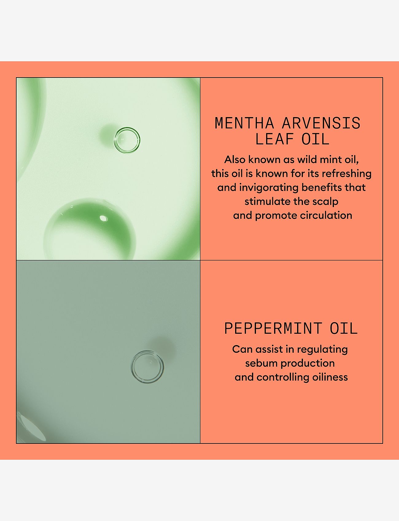 Nioxin - Nioxin System 4 Conditioner for Colored Thinning Hair 300 ml - hårpleje - no color - 3