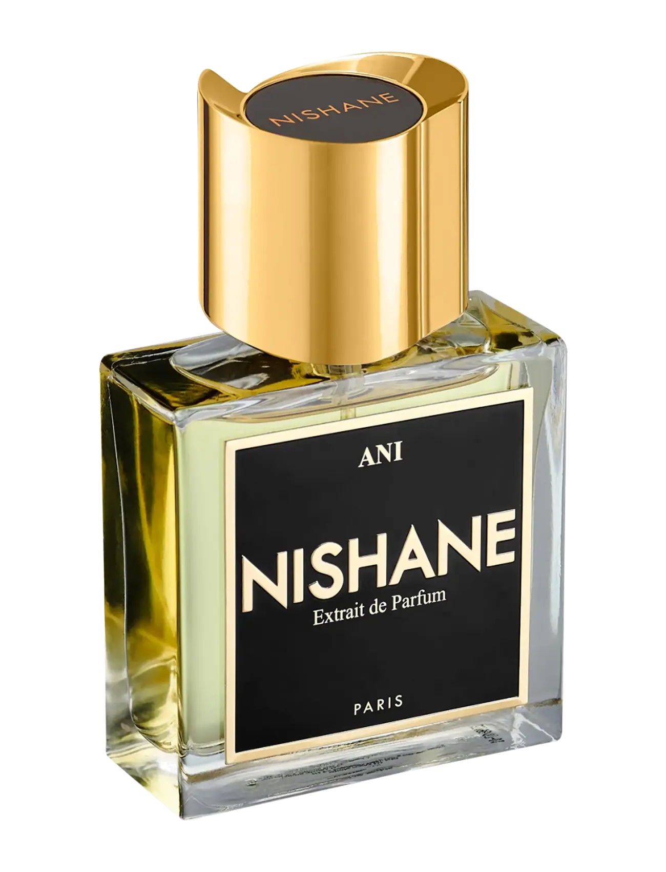 Ani Extrait De Parfum 2